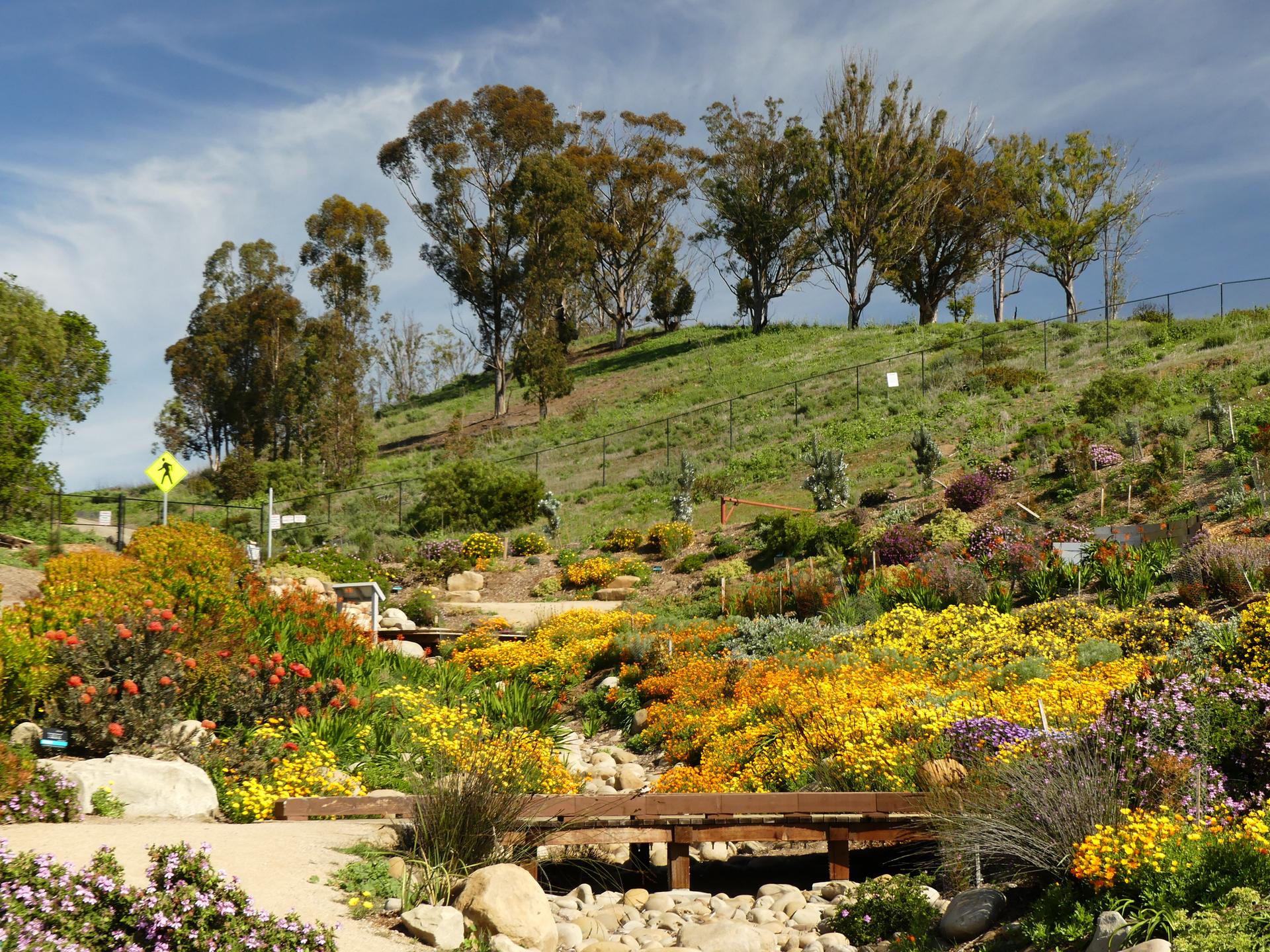 Vibrant flower gardens and a wooden bridge on a sunny hillside.