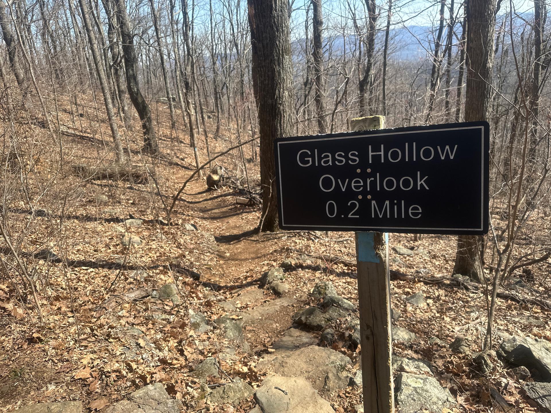 A black trail sign stands beside a dirt path in a sparse forest.