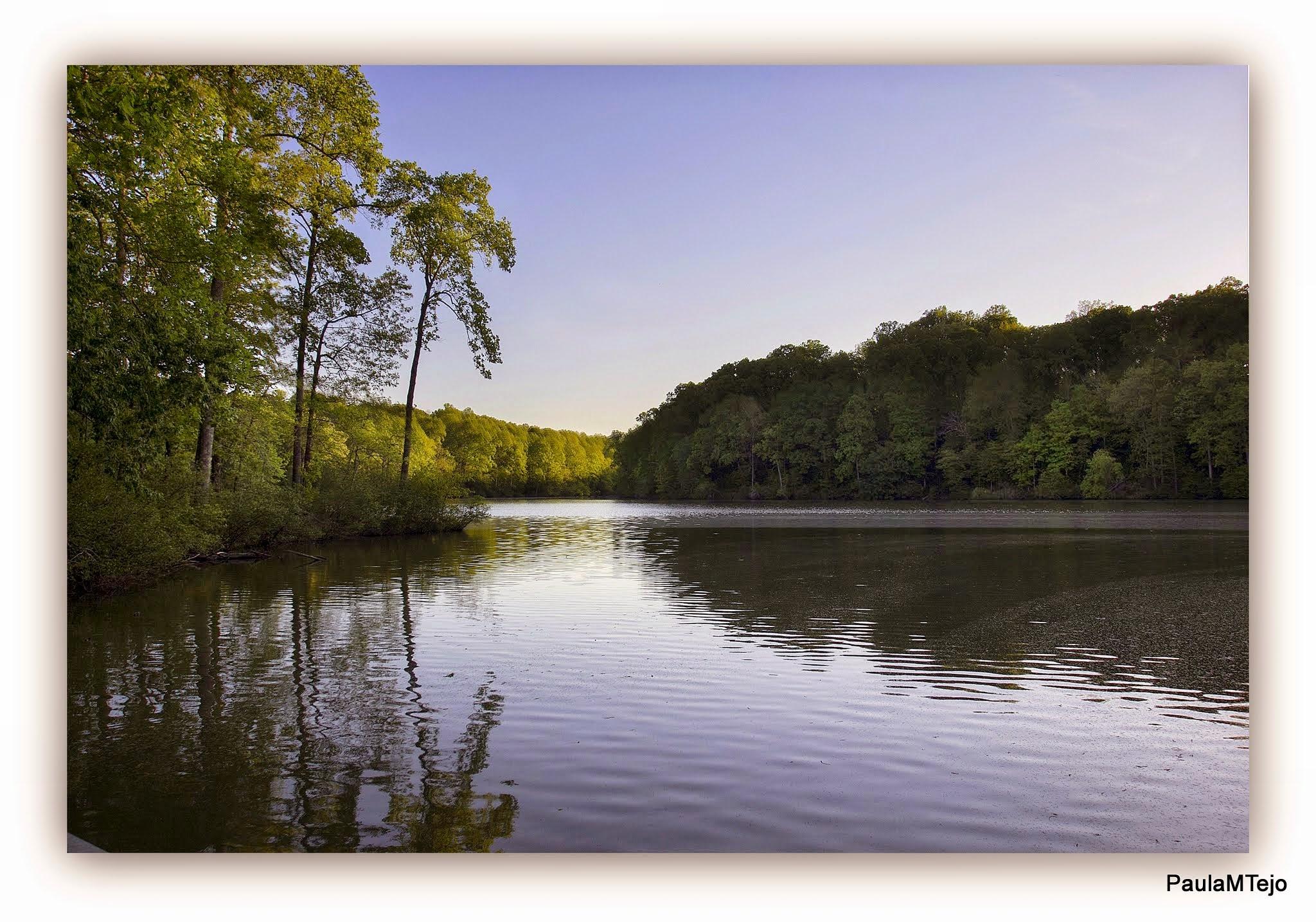 A serene lake reflects green trees and a clear evening sky.