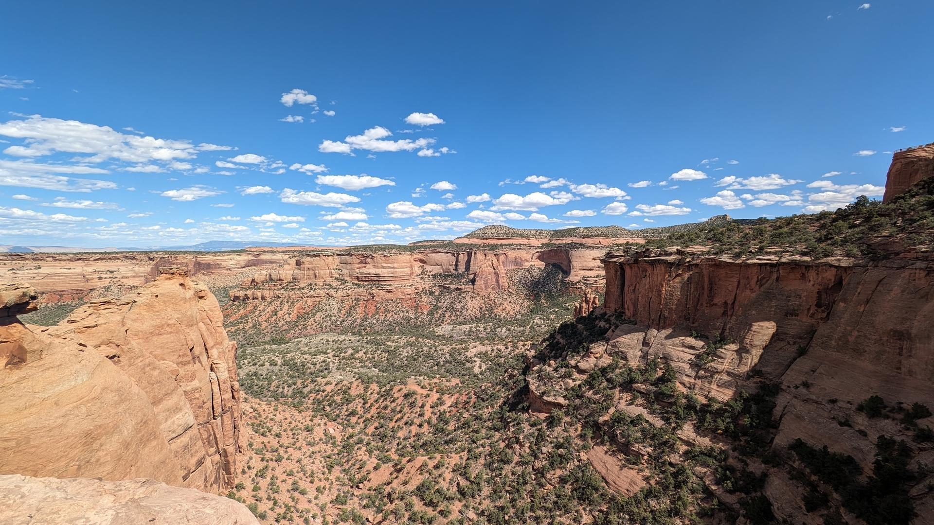 Vast canyon landscape with red rock formations and green scrub under a bright blue sky.