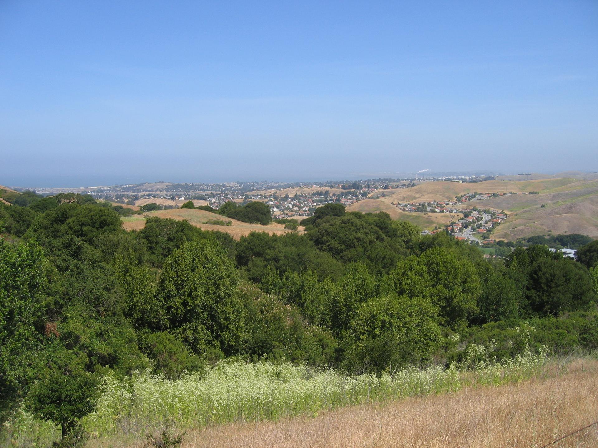 A sunny panoramic view of rolling hills, green trees, and a distant town.