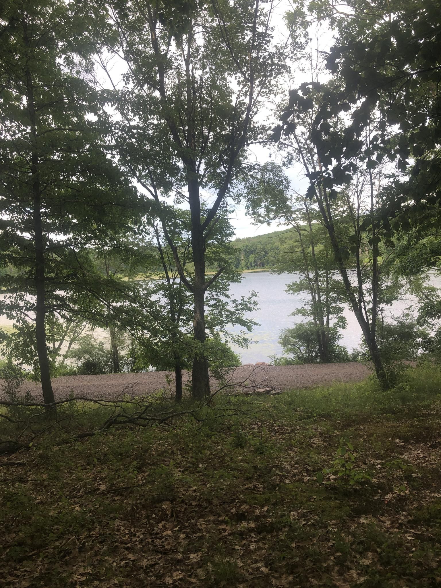 Lush green trees frame a calm lake under an overcast sky. - Moon Lake loop