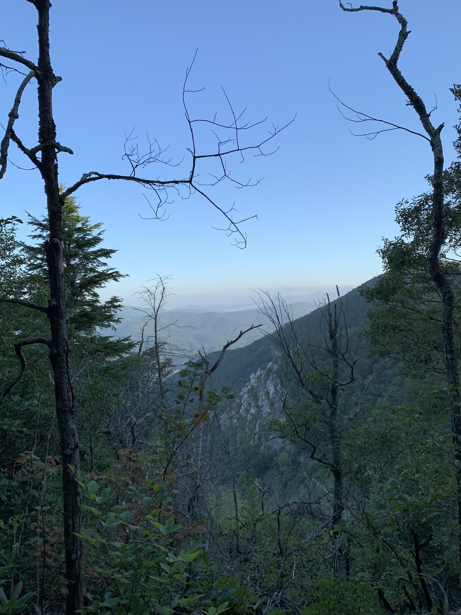 Hazy mountain vista framed by bare tree branches under a clear sky.