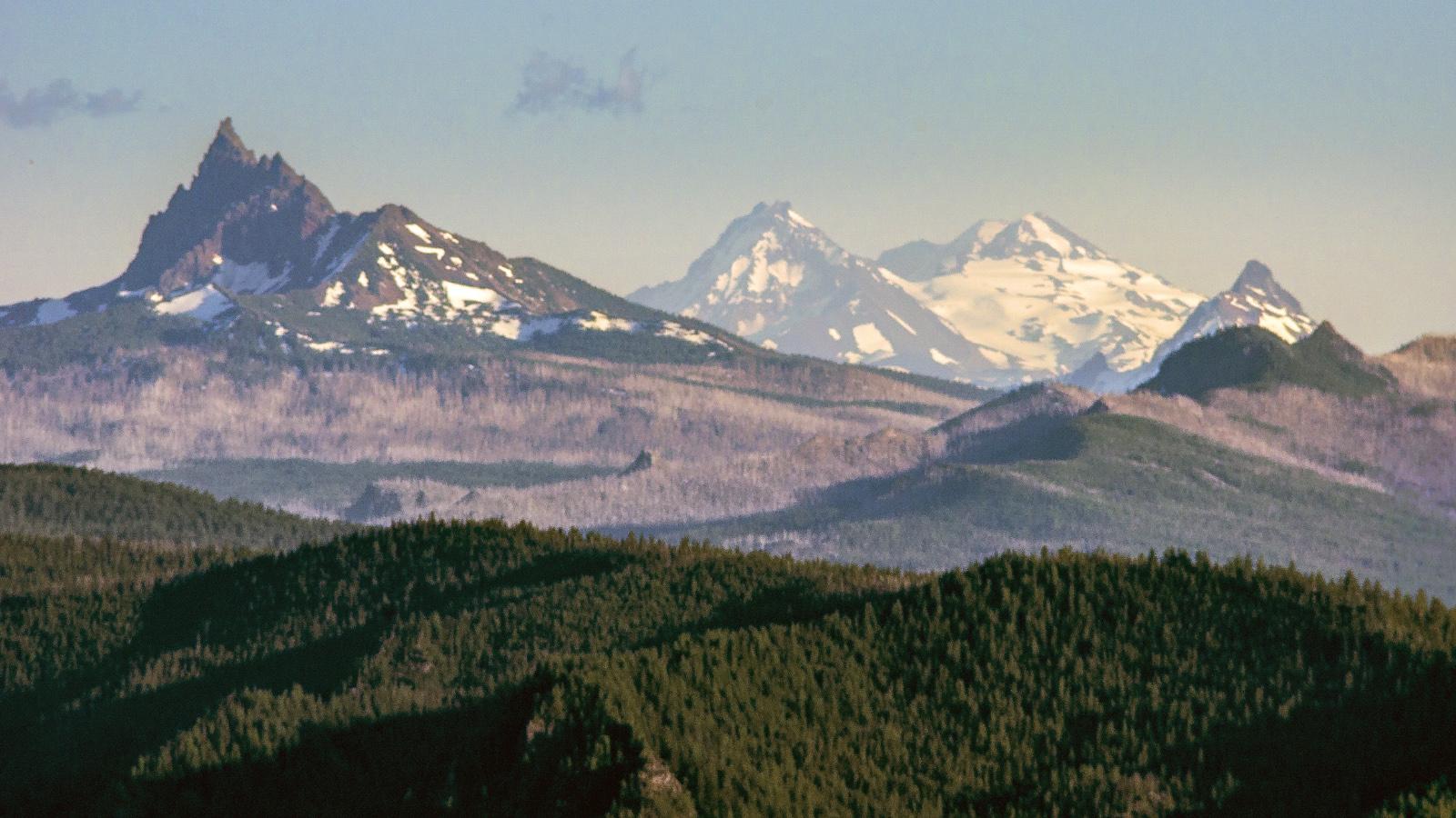 Layered mountain range with snow-capped peaks and dense evergreen forests under clear skies.