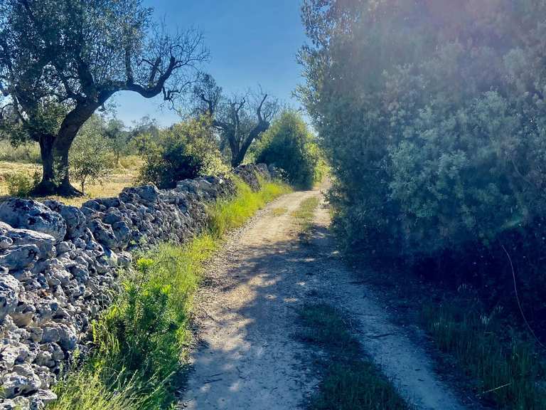 how to find bike size for me