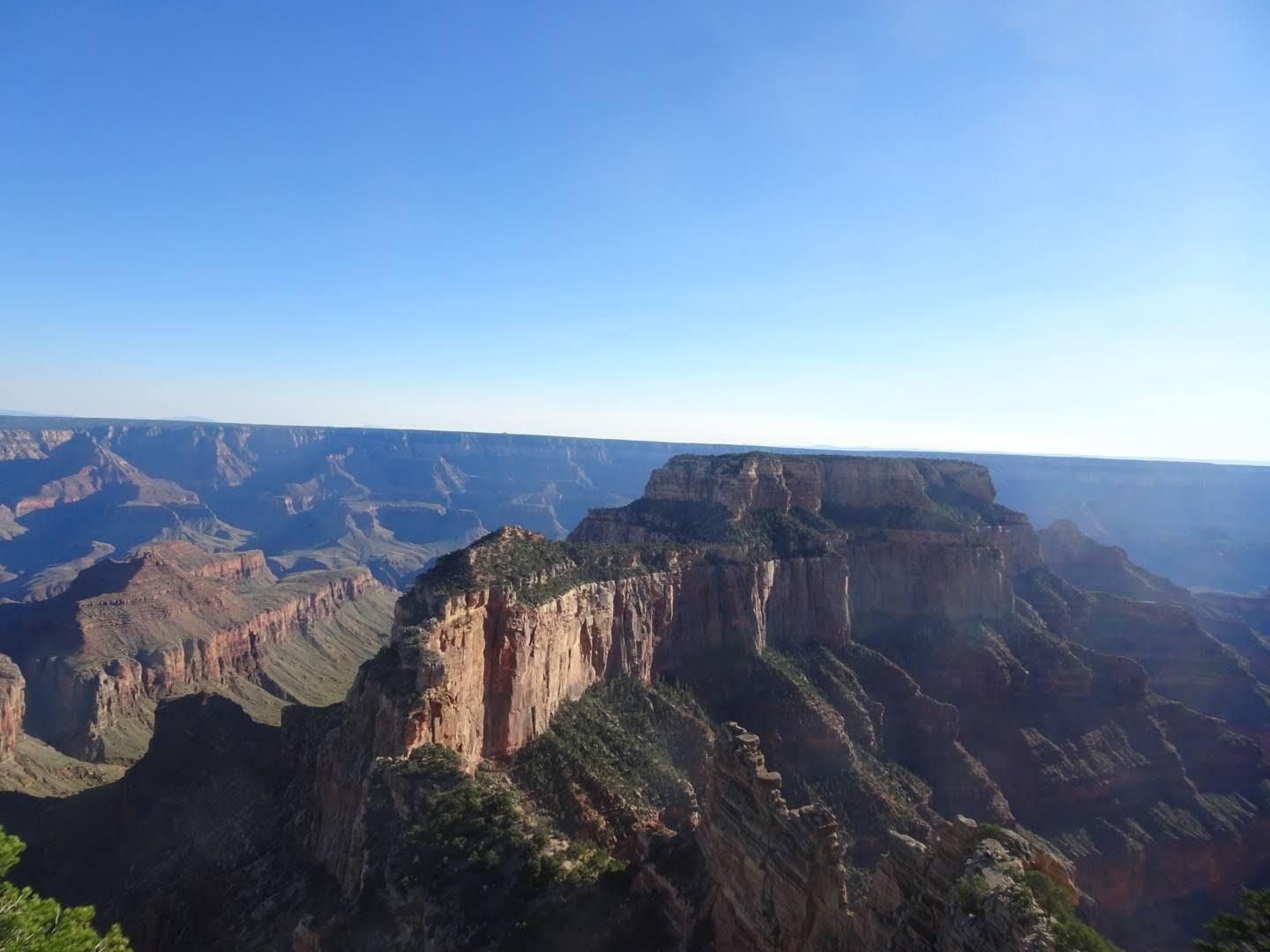 Expansive, sunlit canyon with layered rock formations under a clear blue sky. - Point Imperial via Cape Royal Road