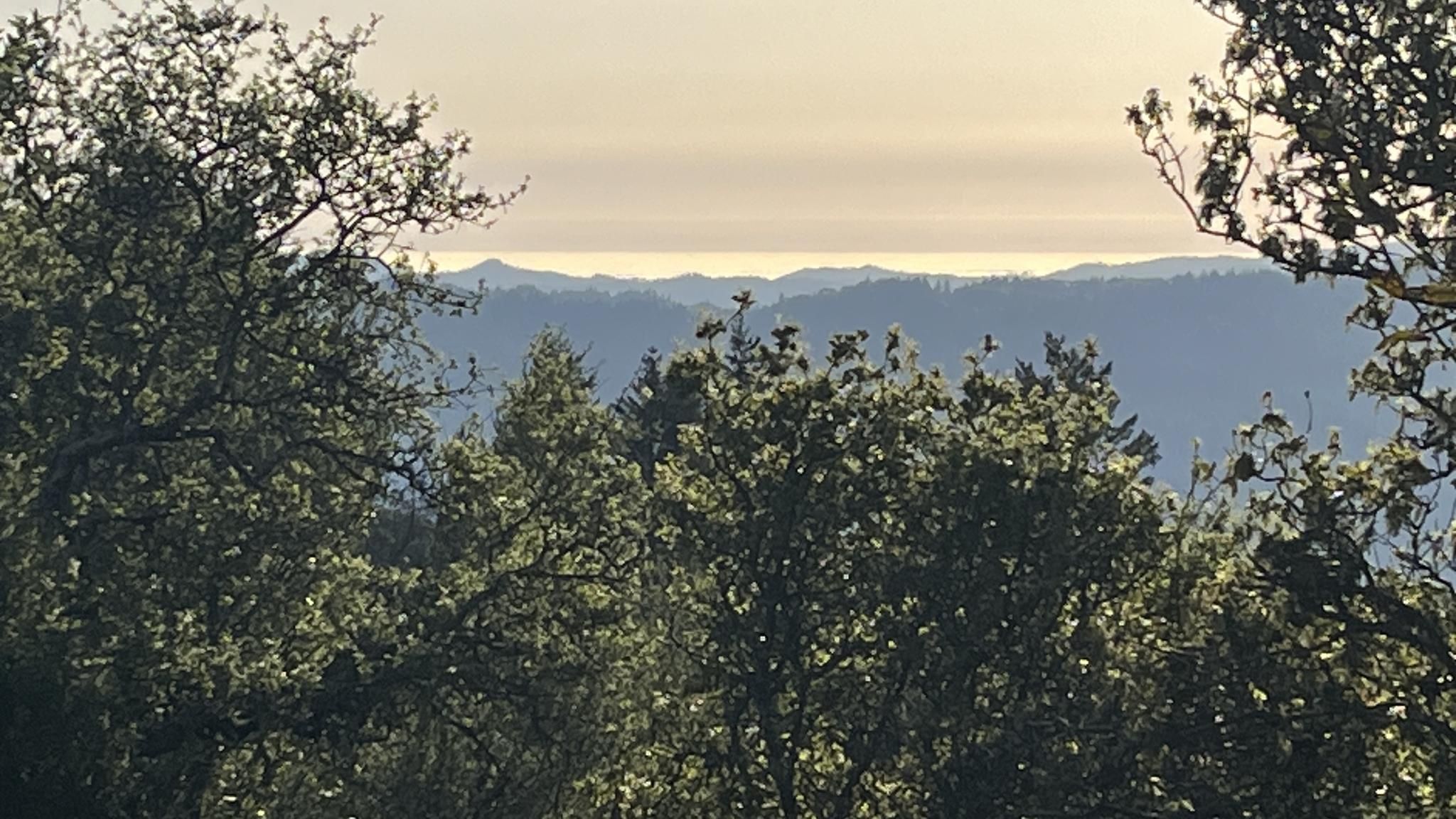 Hazy distant ocean view over layers of green forested hills. - Soda Springs Road