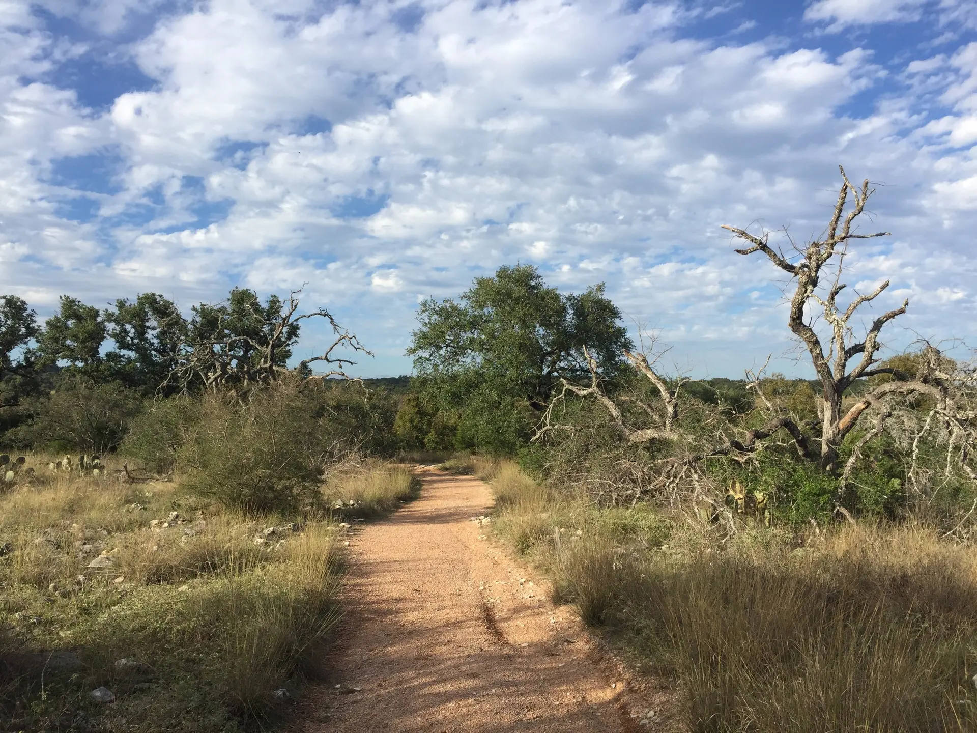 A winding dirt path through a dry, natural landscape under a cloudy sky.