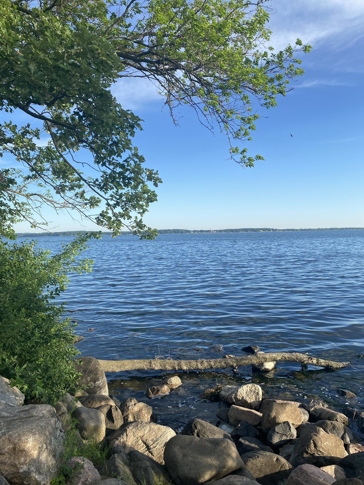 Rocky lake shore with green trees and clear blue water under a bright sky.