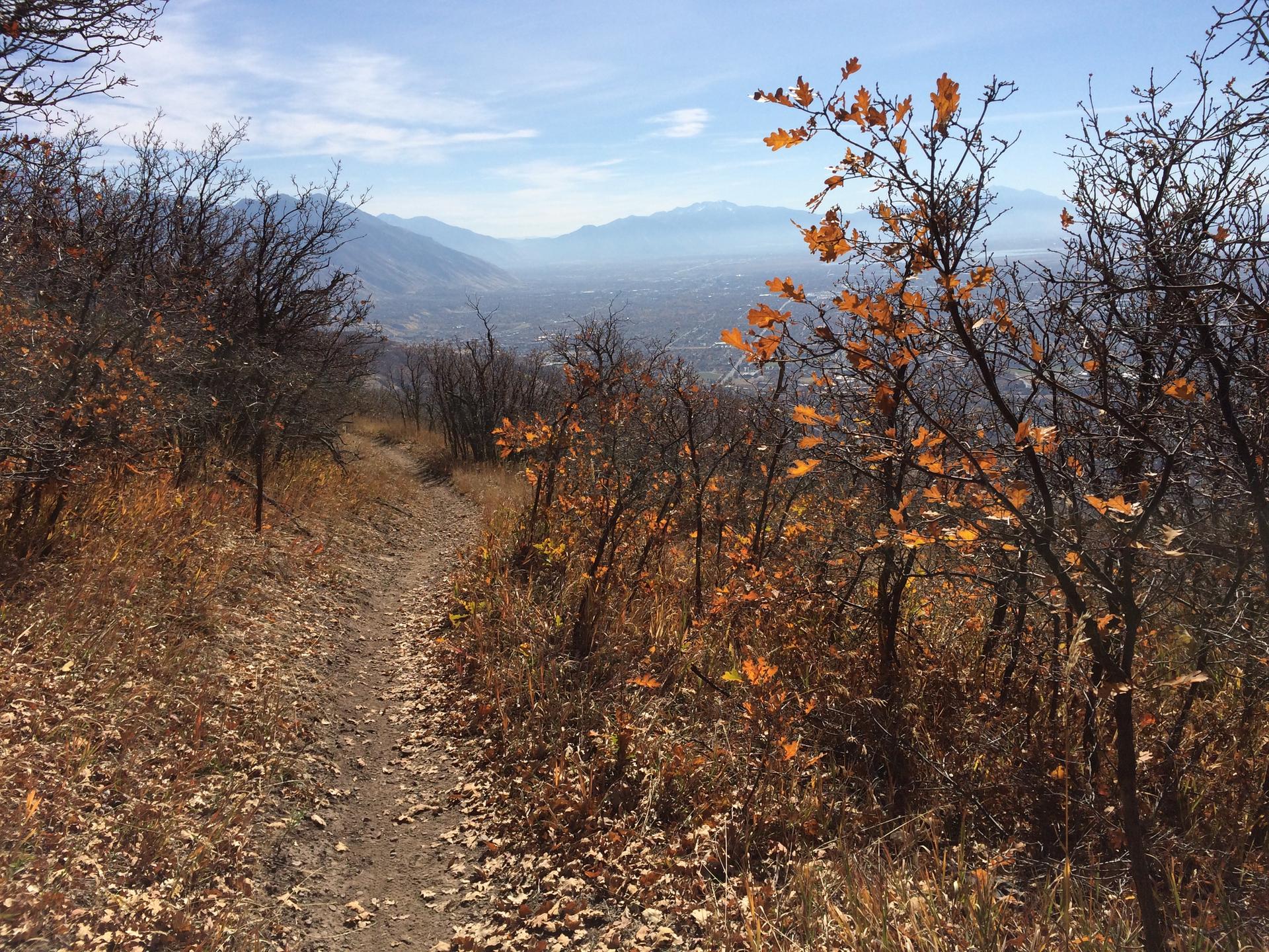 A winding dirt trail through dry, autumn-colored trees with a valley view.