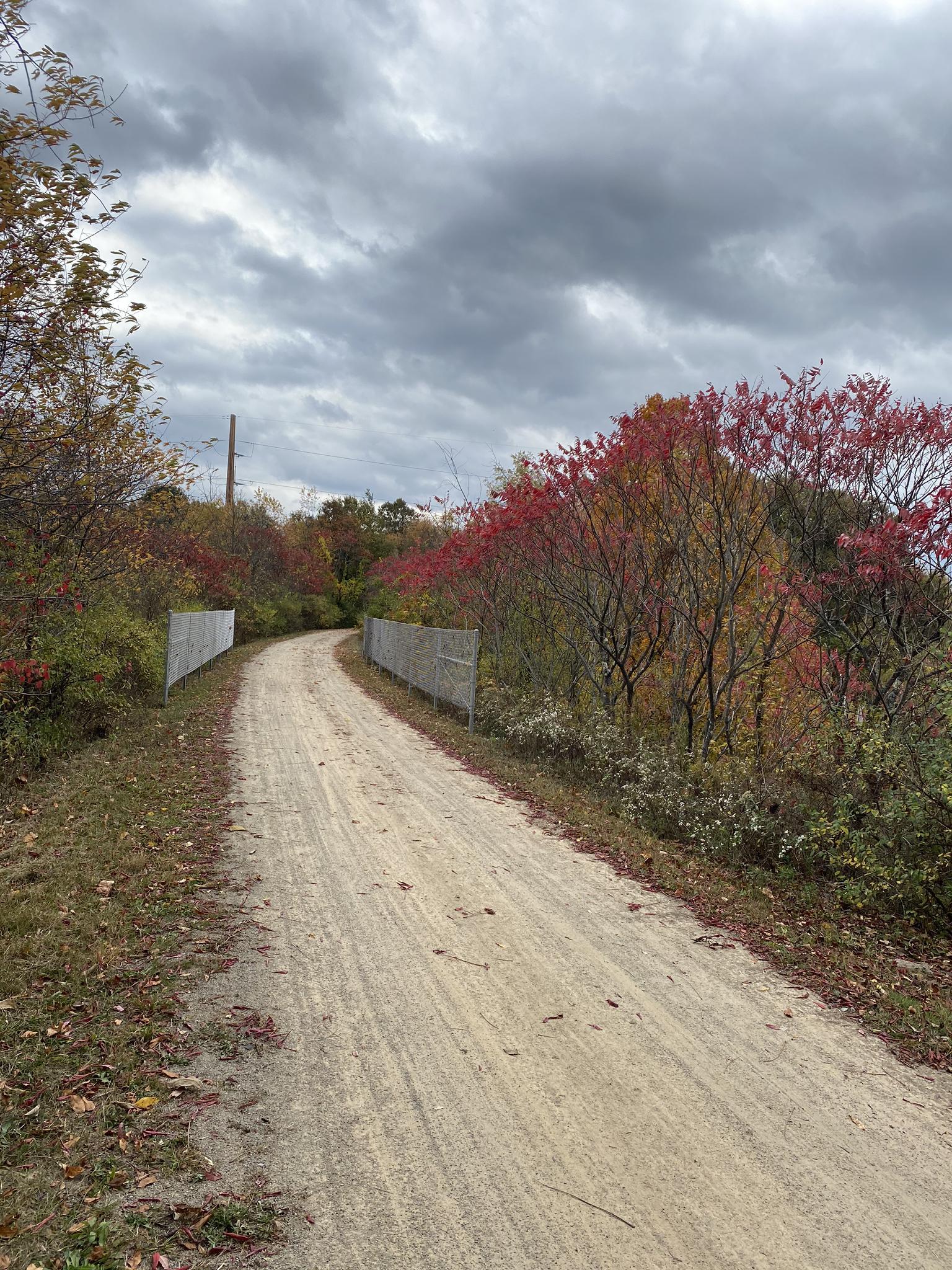 A dirt path curves through colorful autumn trees under a cloudy sky.