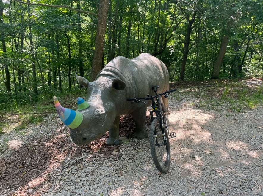 Rhino statue wearing a party hat next to a mountain bike in a sunny forest.