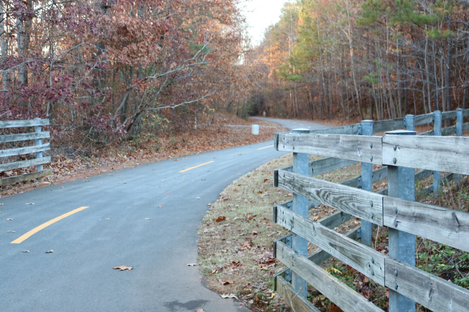 Paved path curves through autumn forest with a wooden fence.