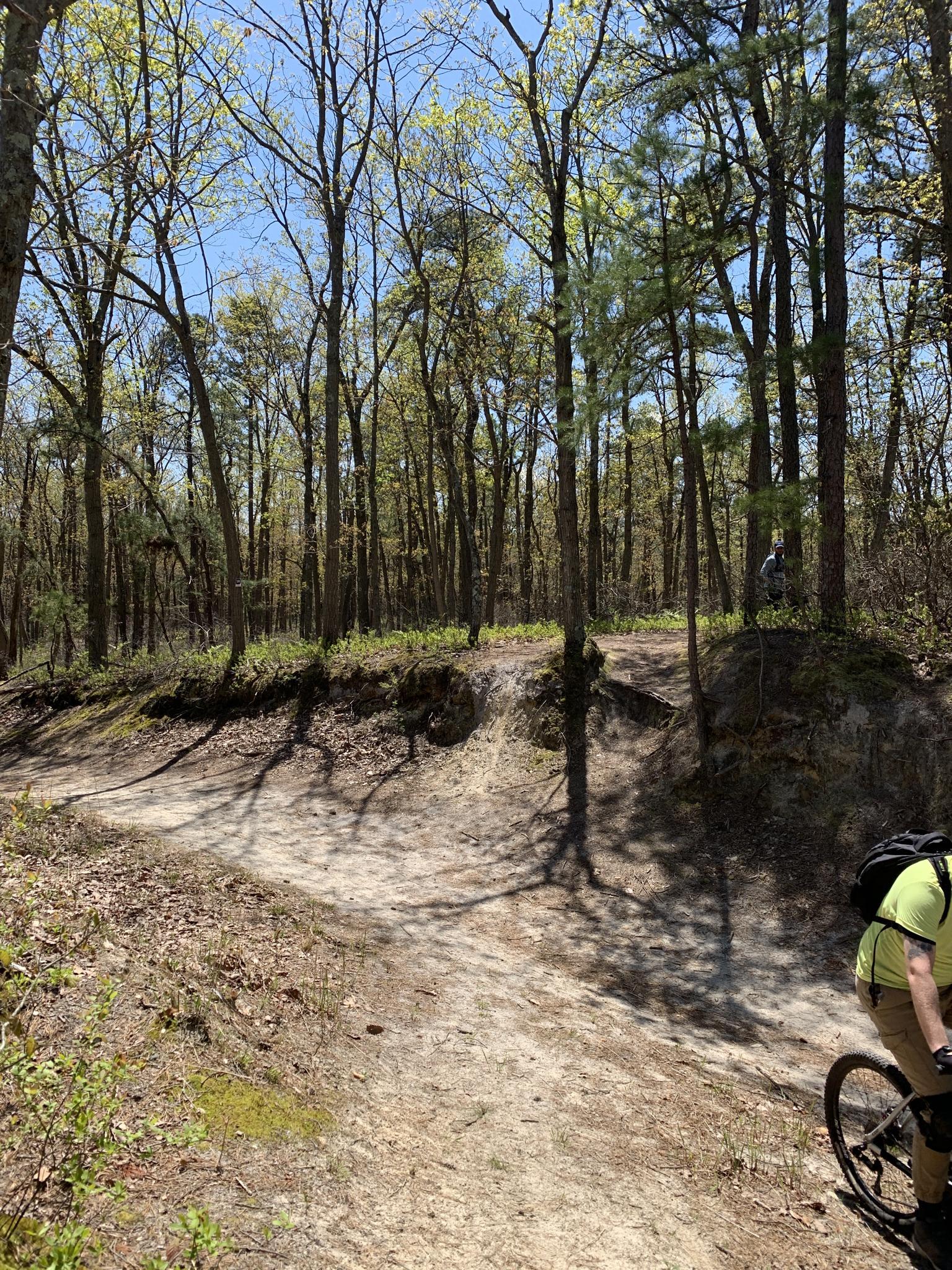 A mountain biker rides a winding dirt trail through a sunny forest.