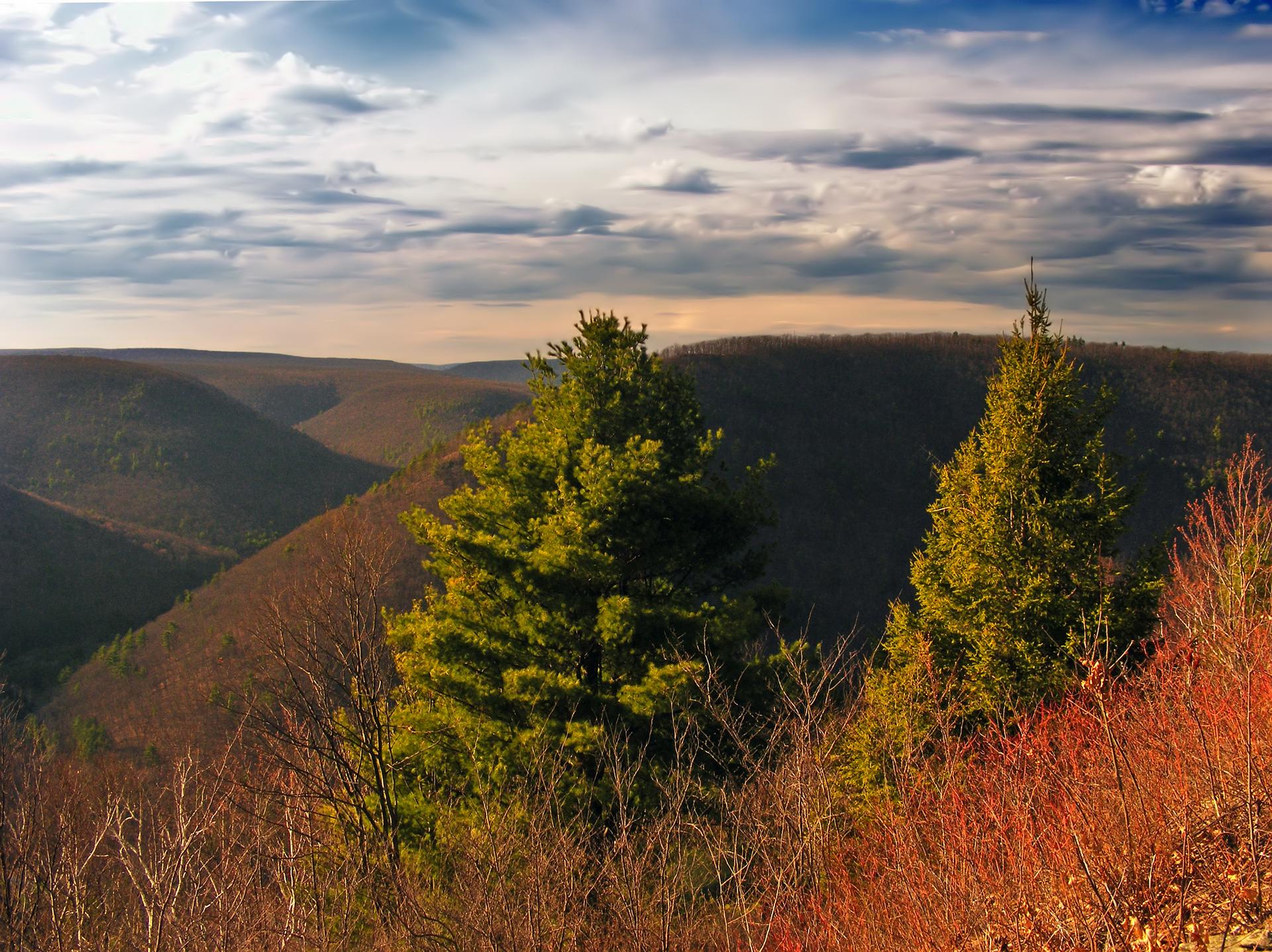 Evergreen trees overlook a vast forested valley under a dramatic cloudy sky.