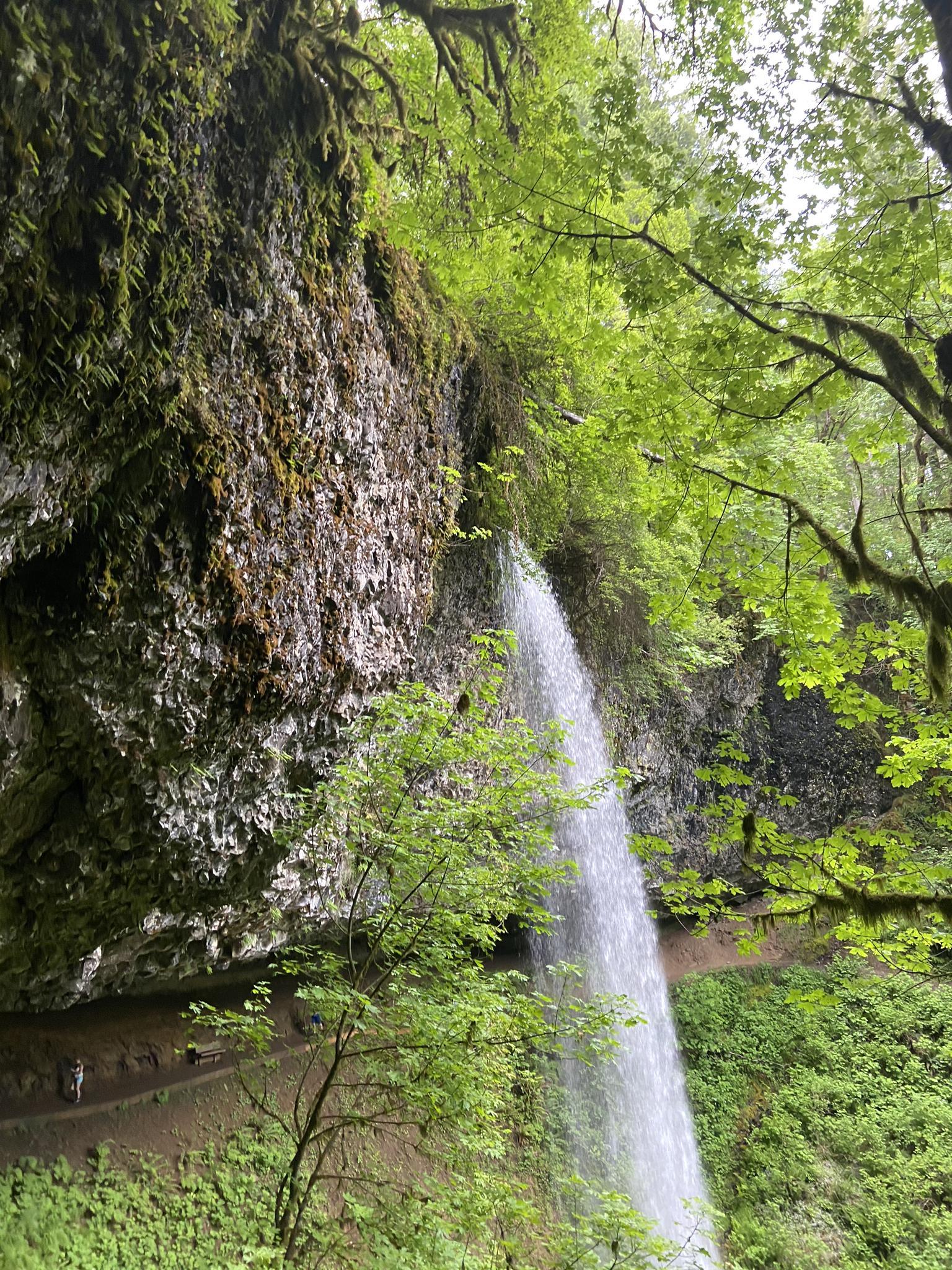 Waterfall cascades over a mossy cliff with people on a path behind it.