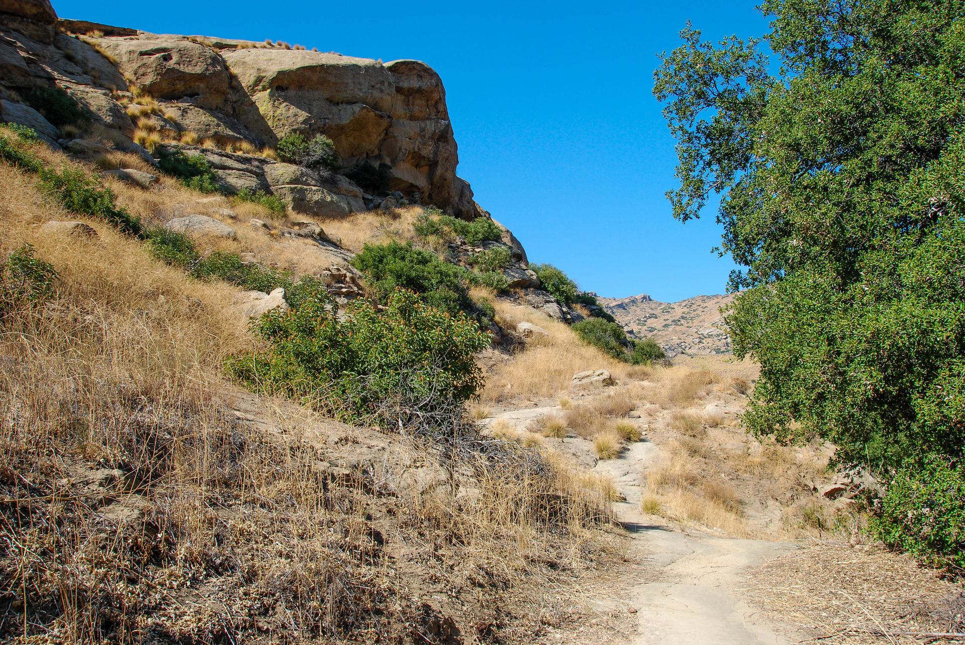 Dirt path winding through a sunny, dry canyon with rocky hills and green trees.