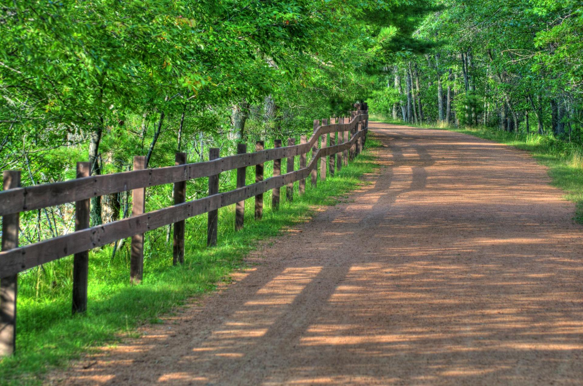 Sunny dirt path with a wooden fence and vibrant green trees.