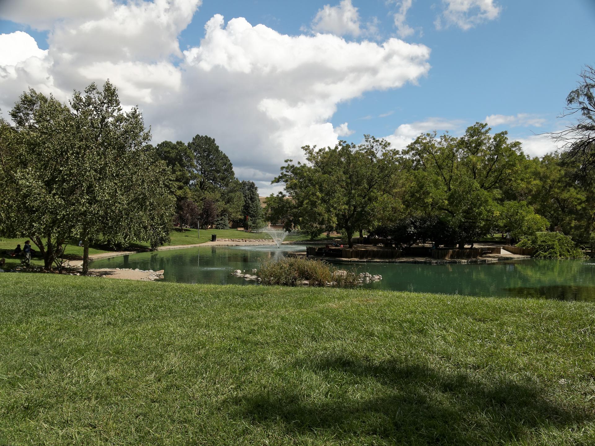 A sunny park with a pond, fountain, green grass, and distant people.