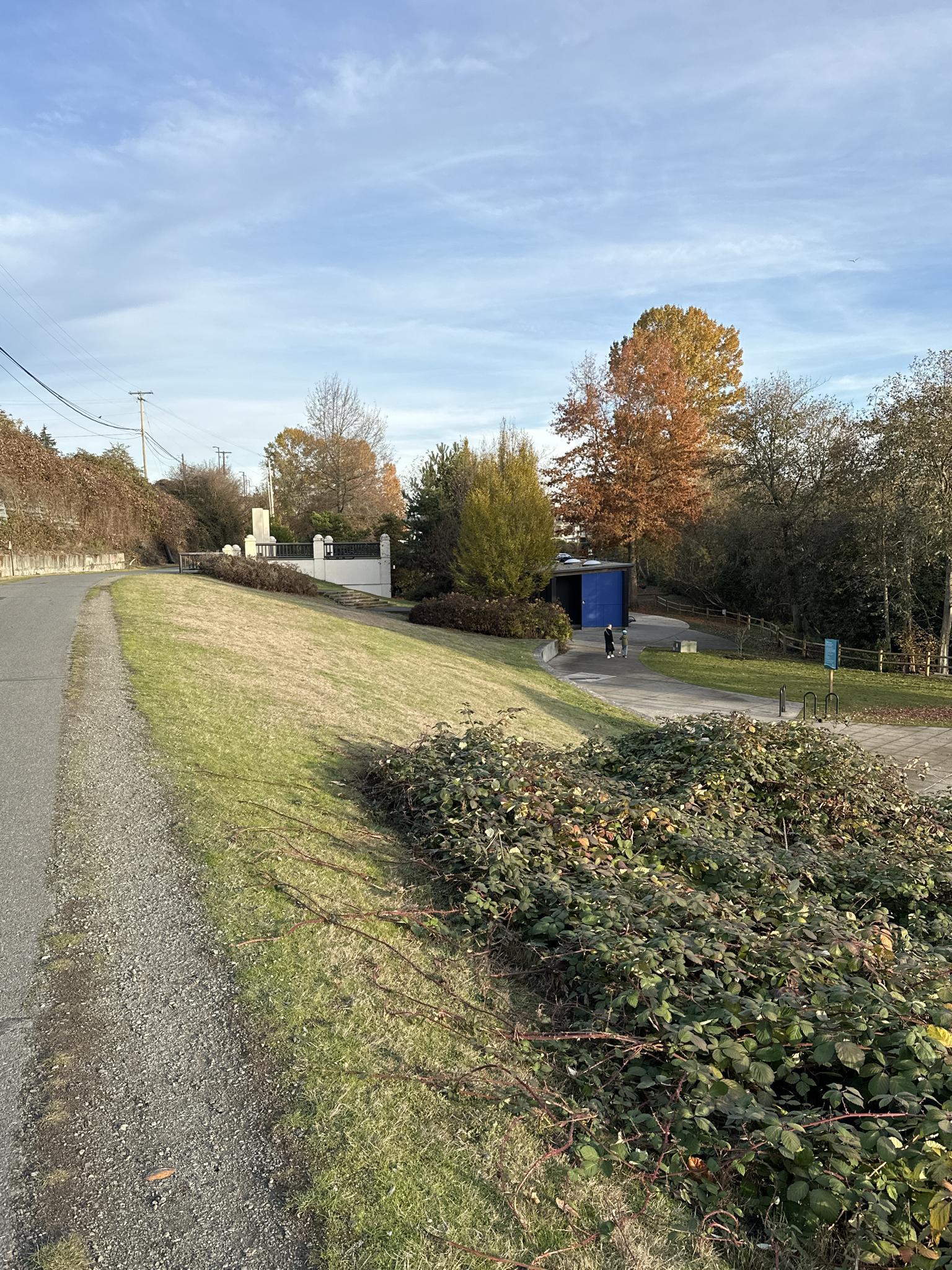 Sunny path next to a grassy slope, blue building, and autumn trees.