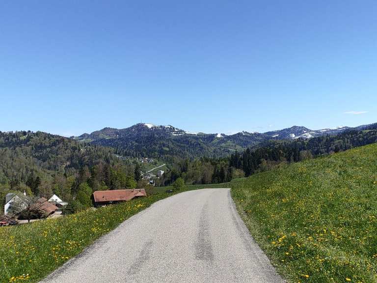 Dürstelen Saland on a small road - Road Cycle Routes and Map | Komoot