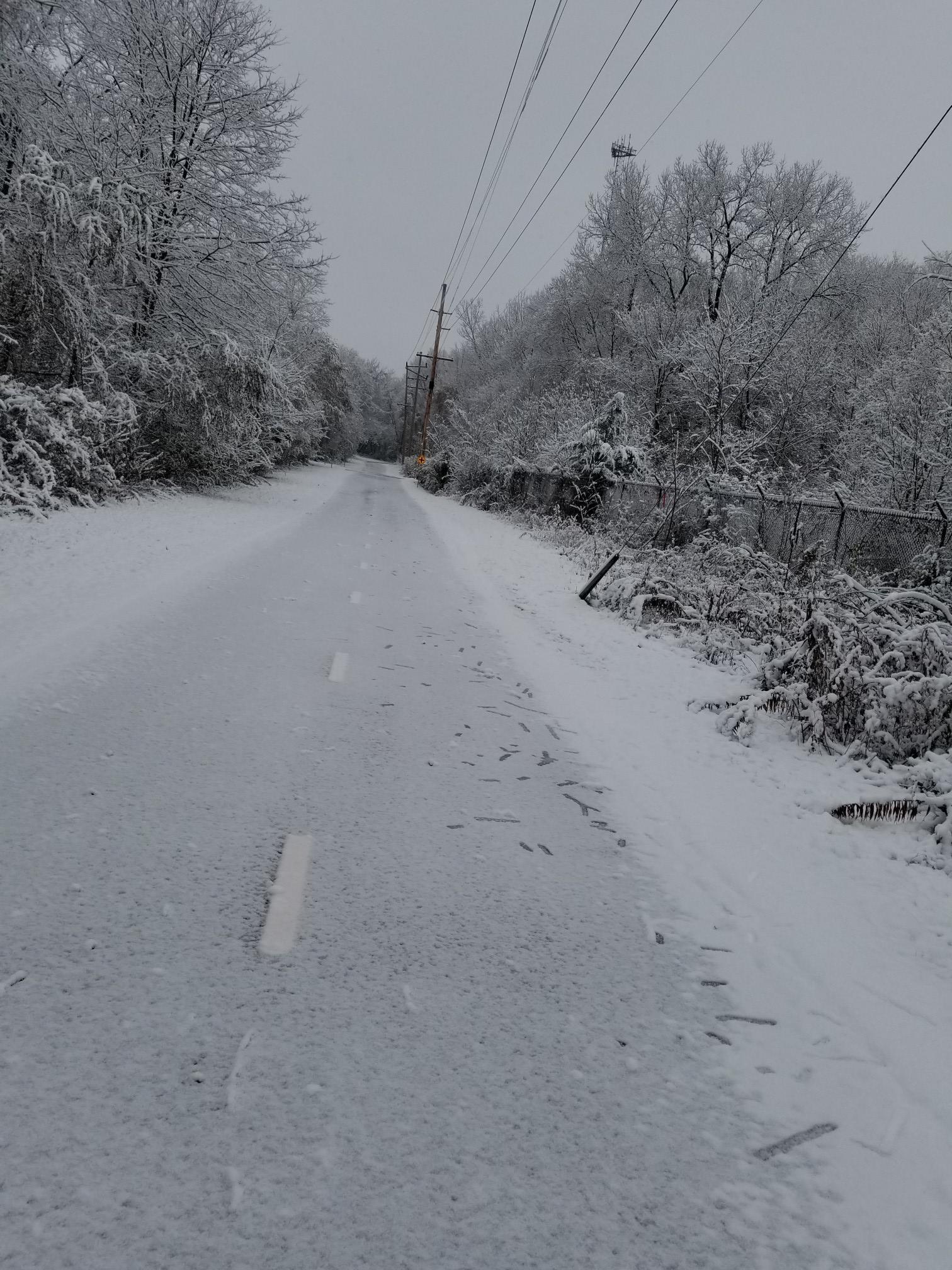 A snow-covered road lined with snow-laden trees under an overcast sky.
