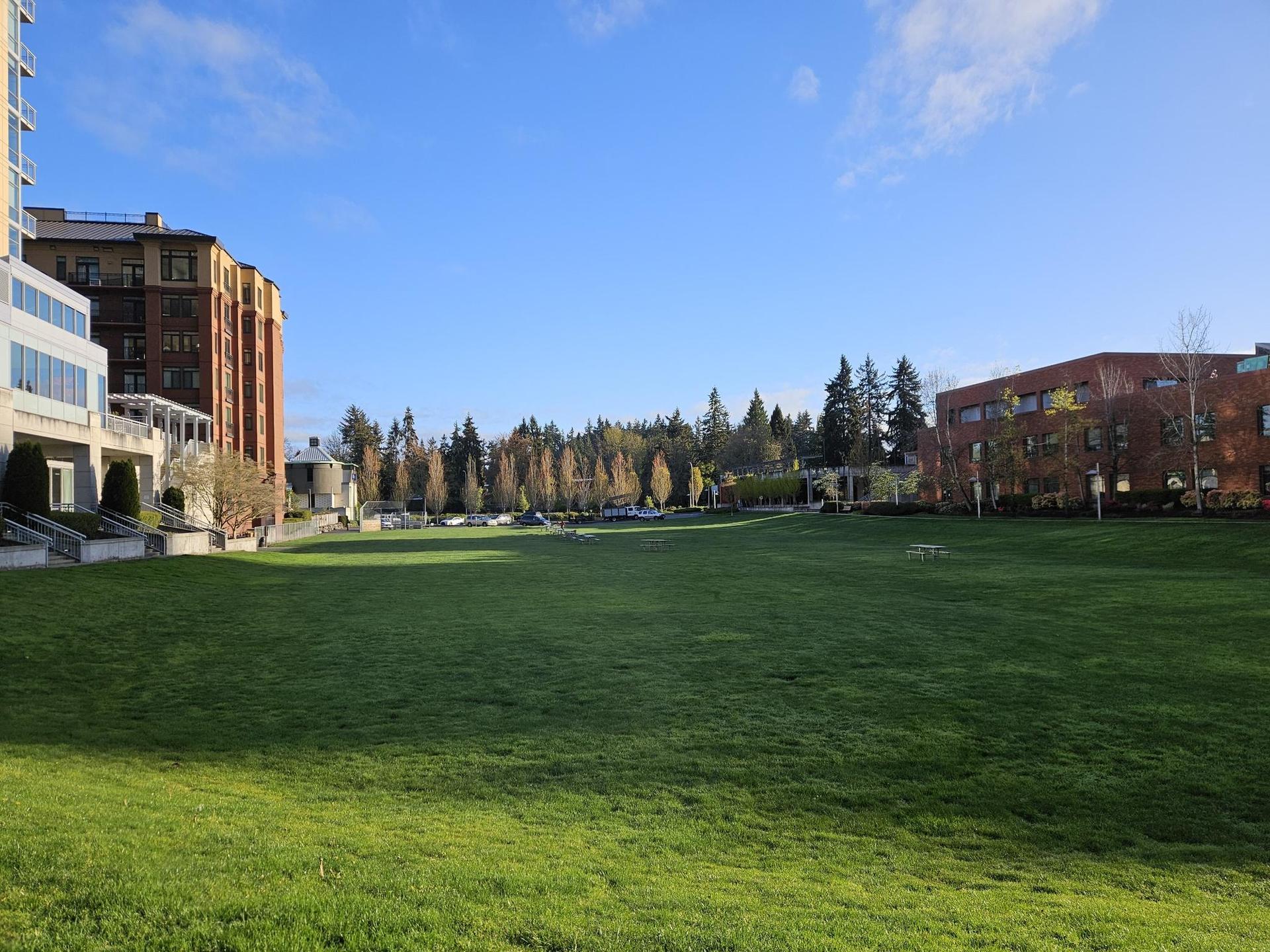 Expansive green lawn surrounded by buildings and trees under a clear sky.