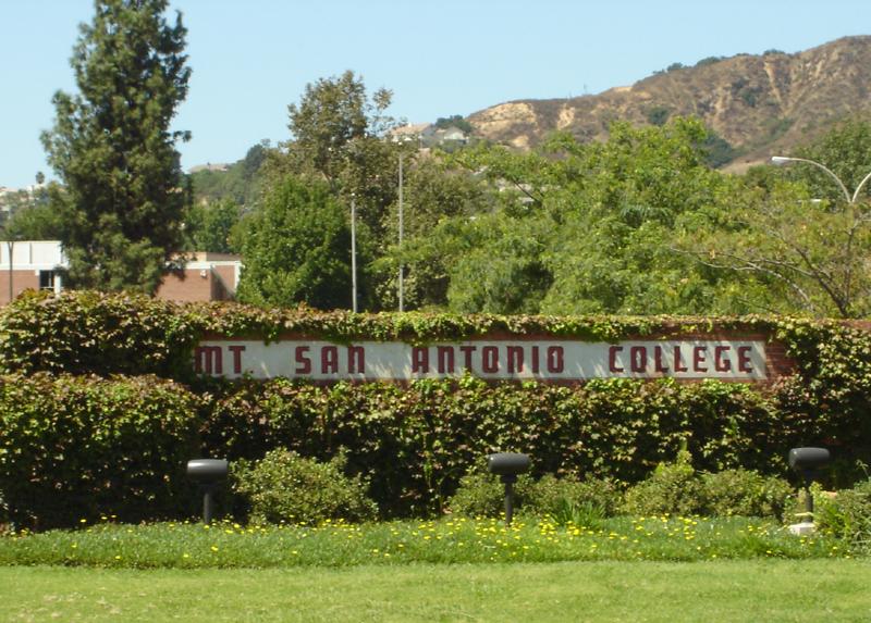 A sign partially covered by green hedges, with trees and a dry hill under bright daylight.