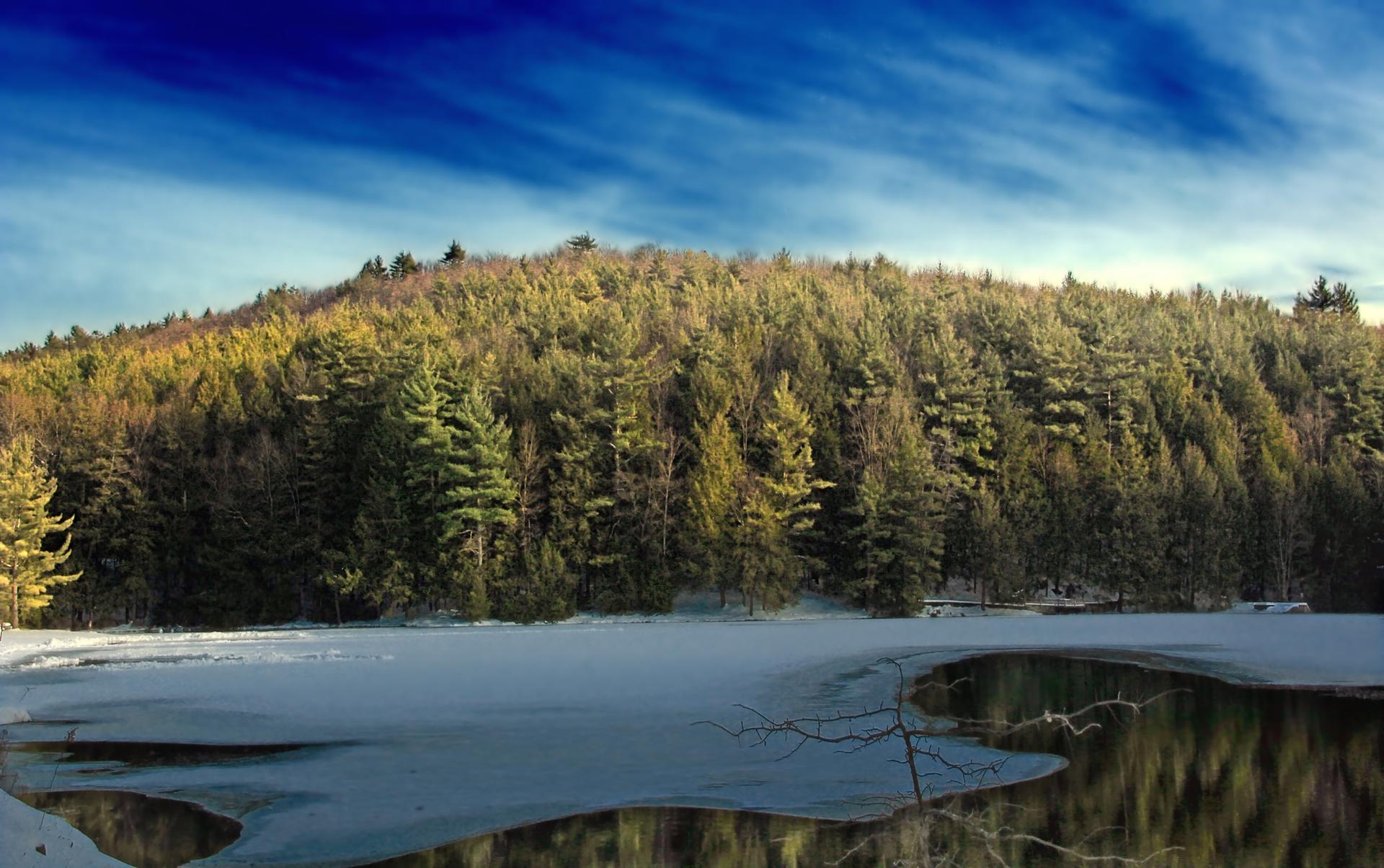 Partially frozen lake, snow-covered banks, and a dense evergreen forest.