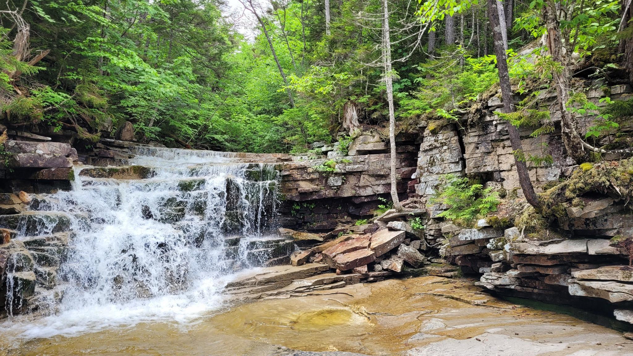 Wide waterfall cascading over layered rock formations in a green forest.