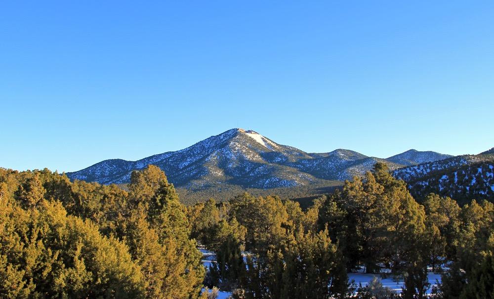 Snow-capped mountain peak rising above a forest under clear blue sky.