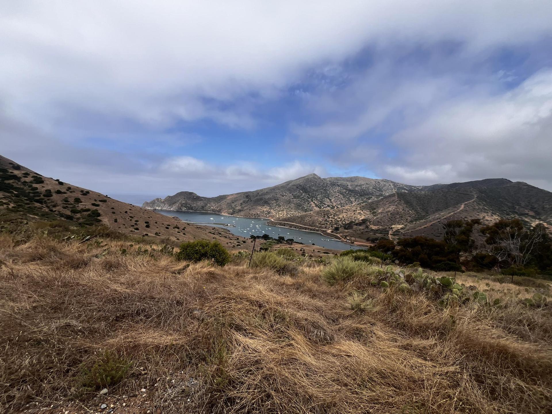 Bay with many boats, surrounded by dry hills under a cloudy sky.