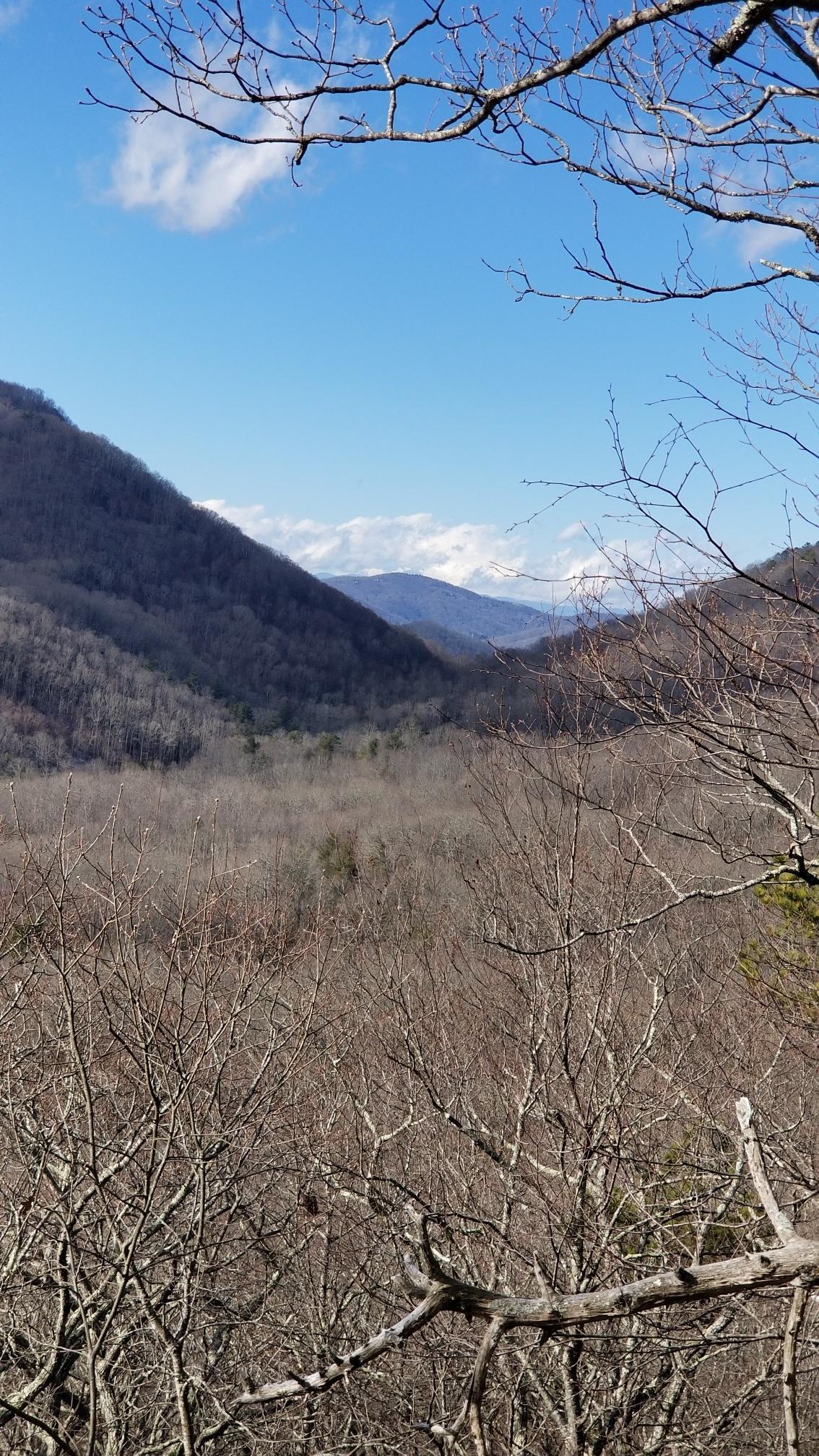 A mountain valley with bare trees under a bright blue sky with clouds.