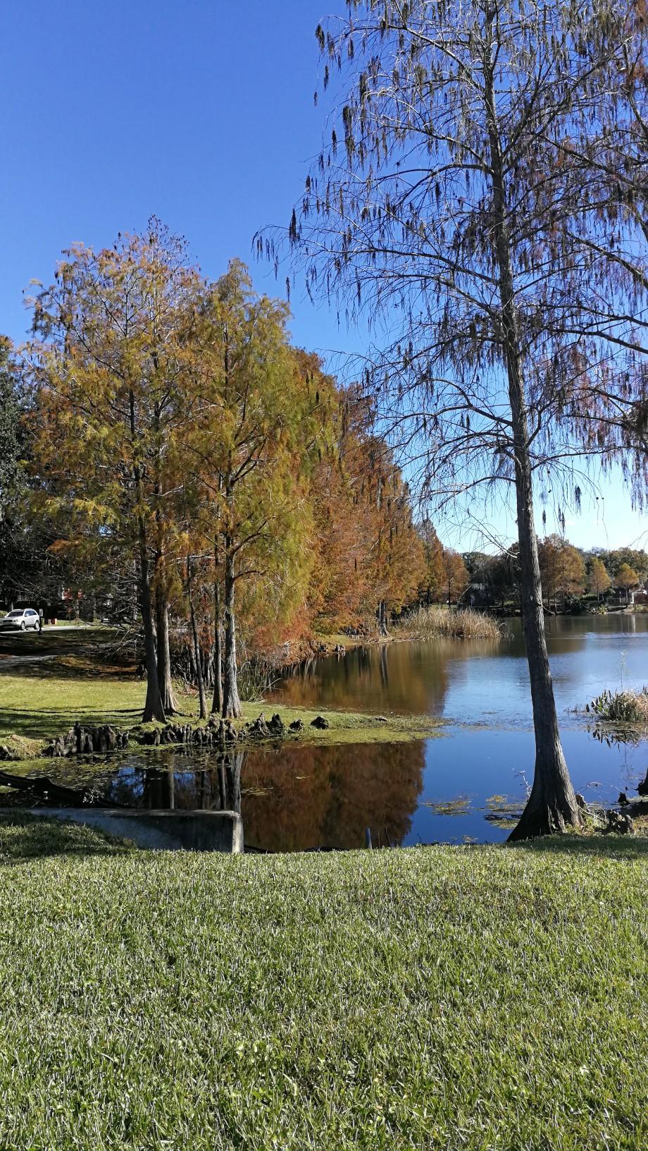 A tranquil lake reflecting colorful autumn trees under a clear blue sky.
