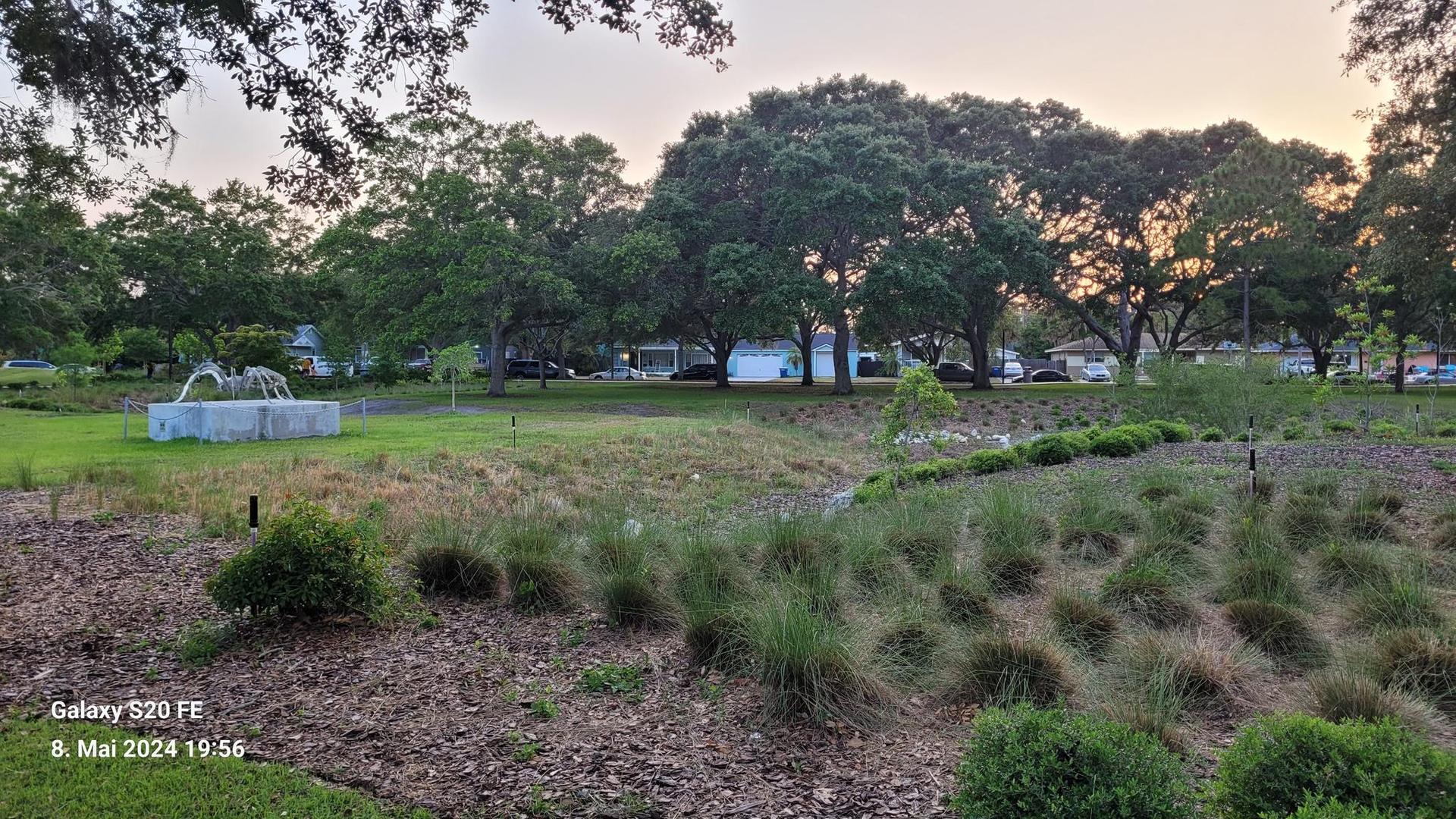 Evening light illuminates a park with a fountain, trees, and grassy slopes.