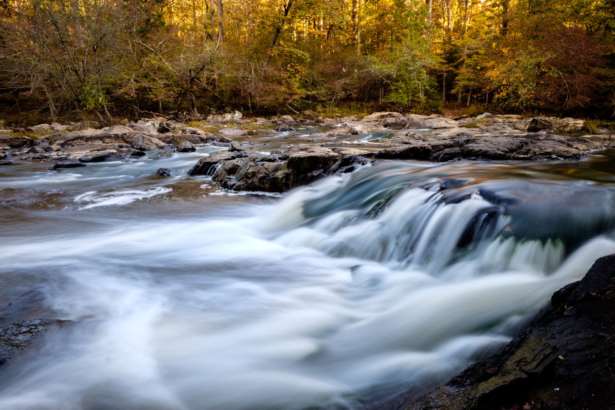 A beautiful waterfall cascades over rocks in a vibrant autumn forest. - Laurel Bluffs Trail to Eno Quarry