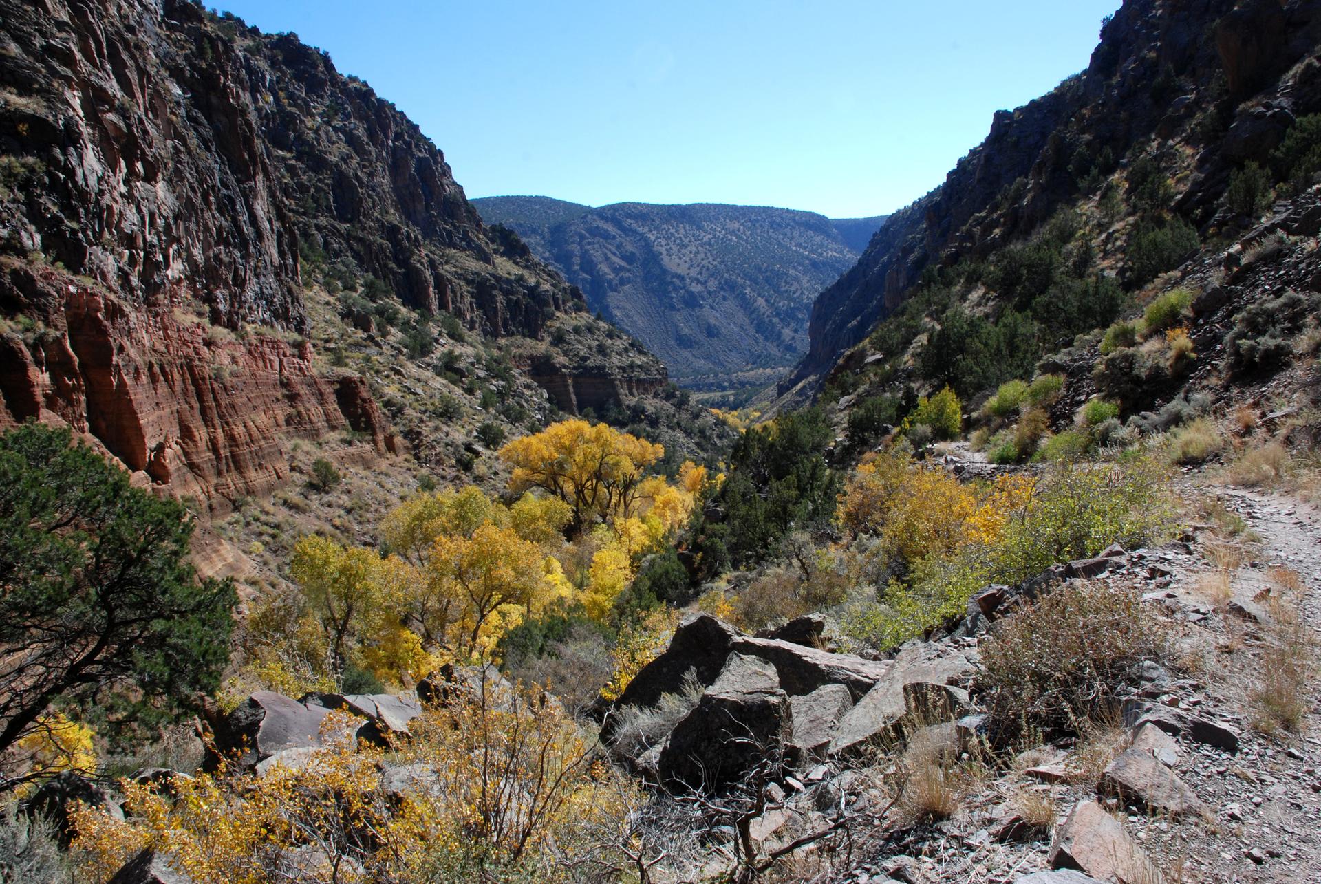 Deep canyon with steep rocky walls and vibrant yellow autumn trees.