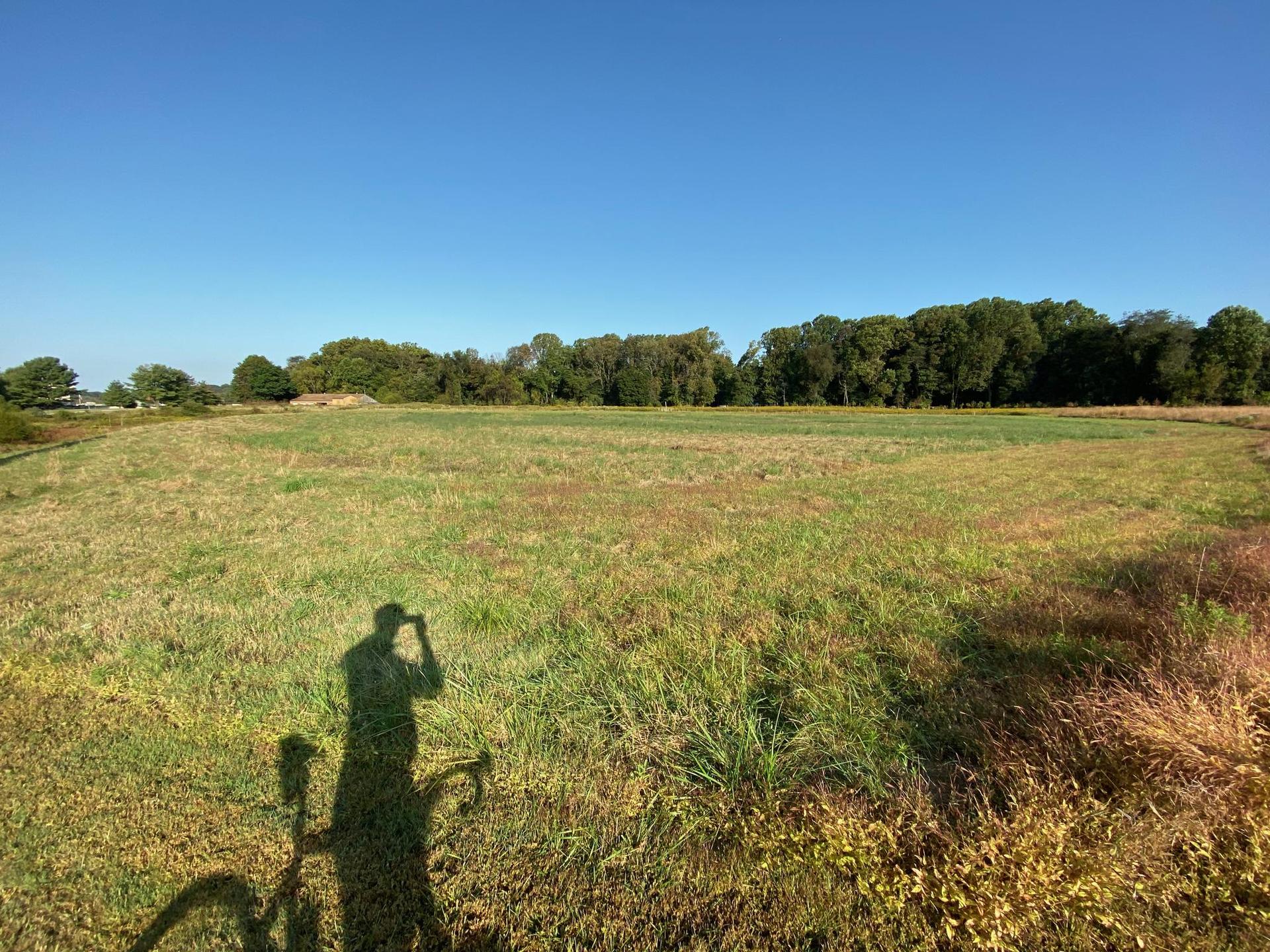 A person's long shadow stretches across a wide, sunny grassy field.