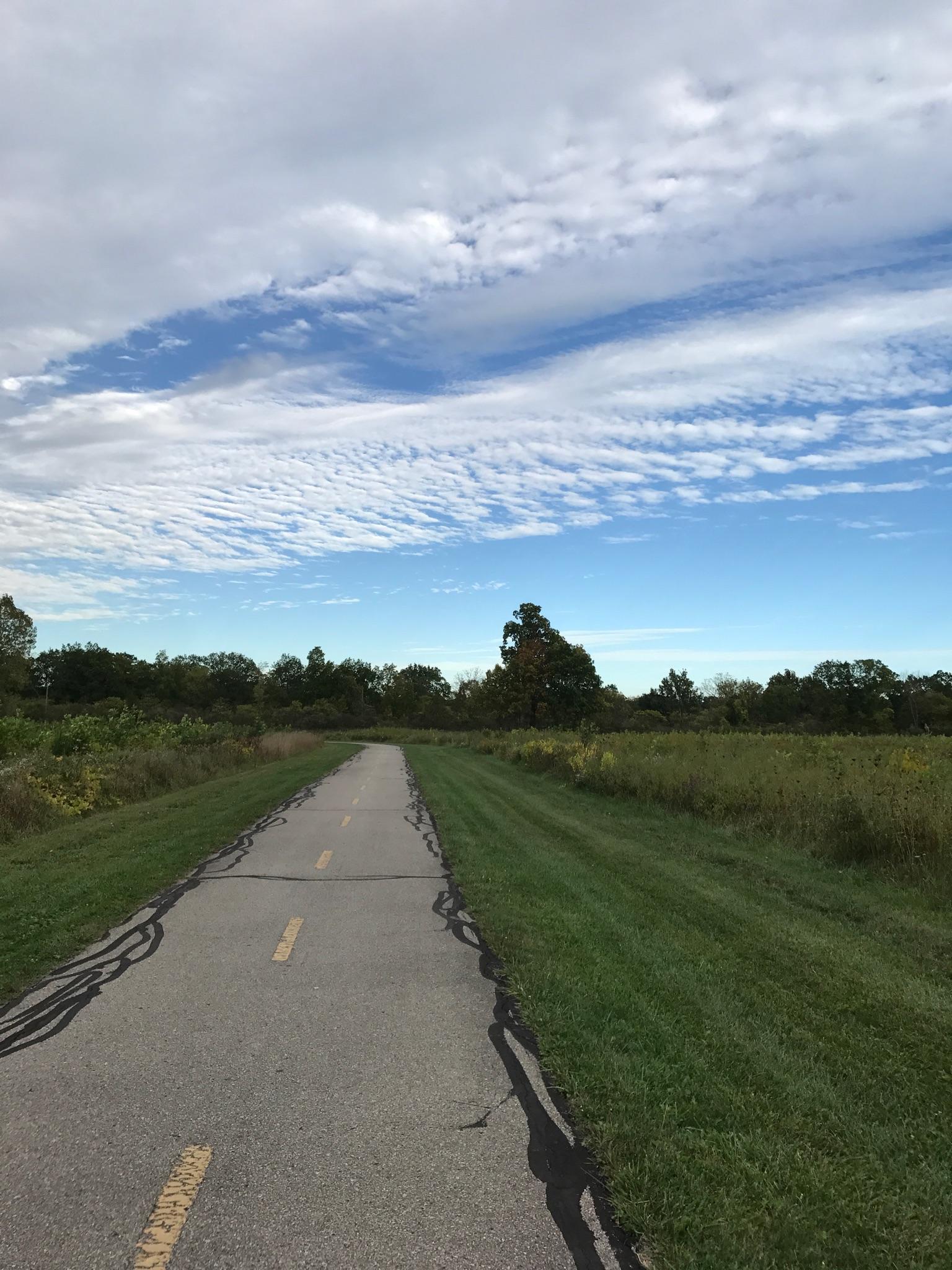 Paved path through grassy fields under a bright, cloudy sky.