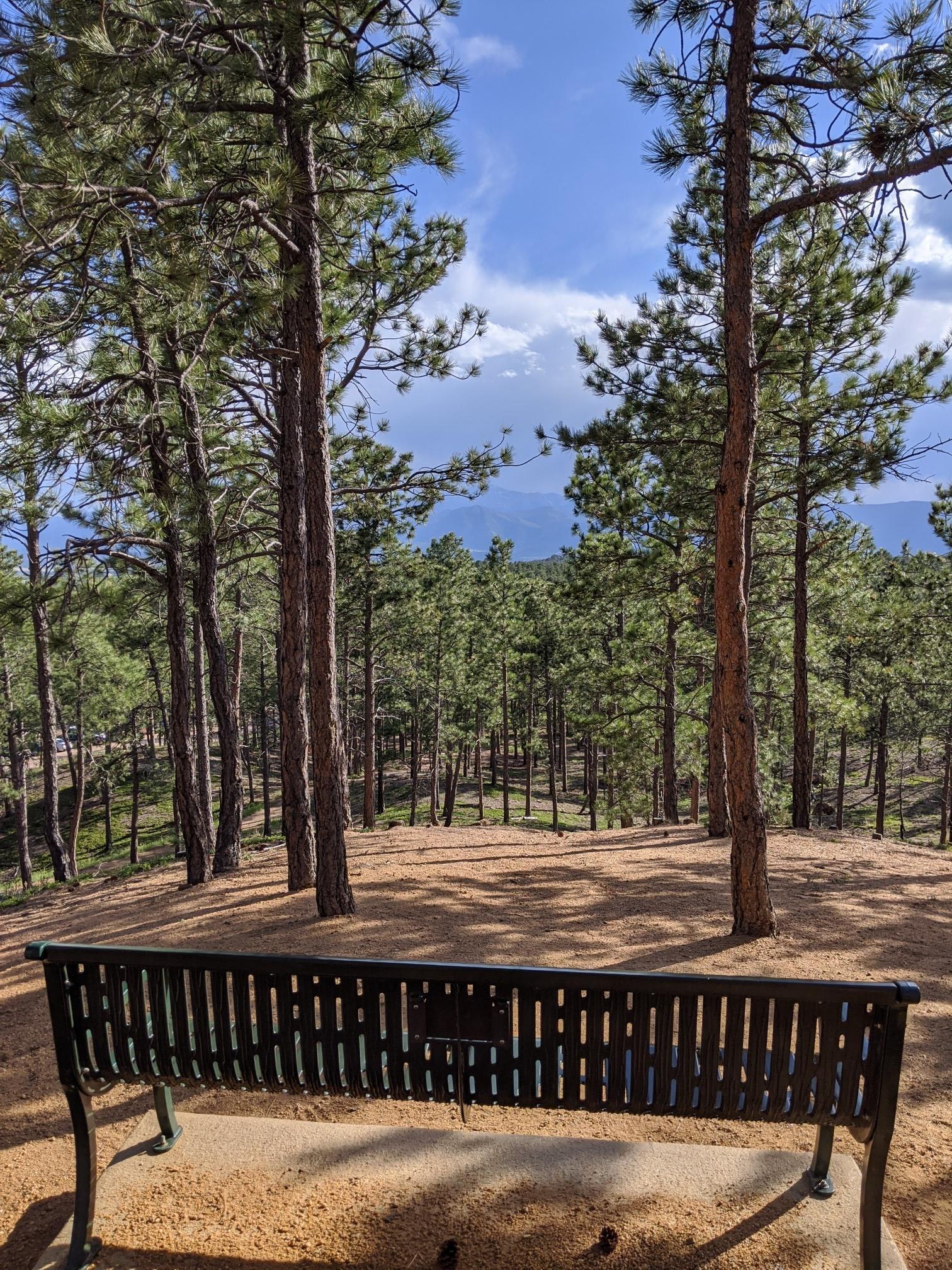 Empty park bench in a pine forest overlooking distant mountains under cloudy sky.