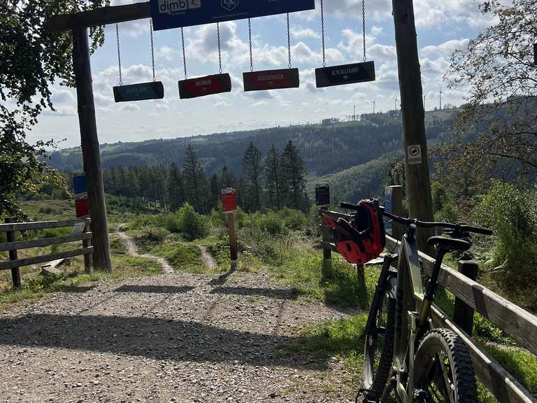 trekkingrad langstrecke Airtracks Herren Trekking Fahrrad 28 Zoll TR.2835 24 Gang Shimano ALIVIO RD-M3100 SGS - Schwarz Matt Year_2021_Make_Ford_Model_Mustang_Engine_2.3L Gas Battery Capacity:8.7AH Brennnesseljauche