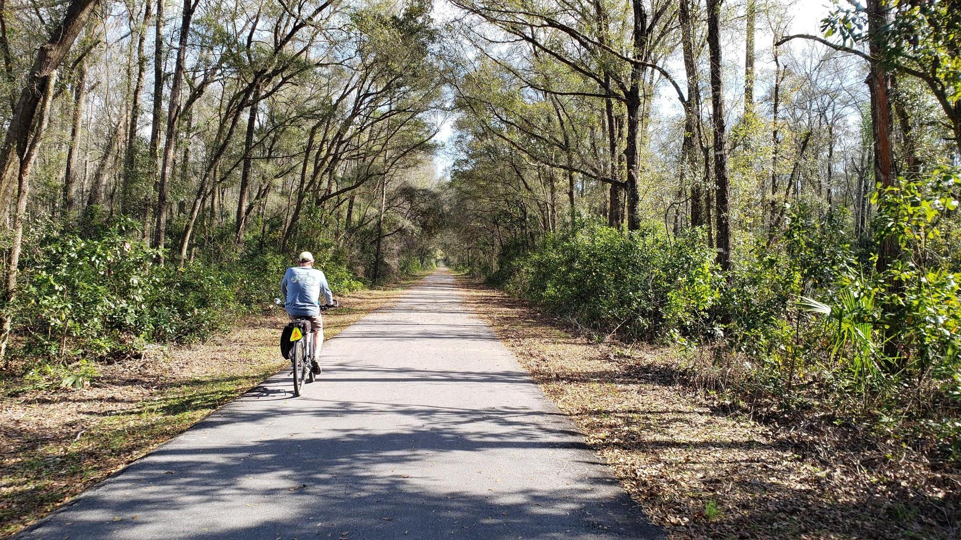 A person cycles on a sunny paved path through a green, tree-lined forest.