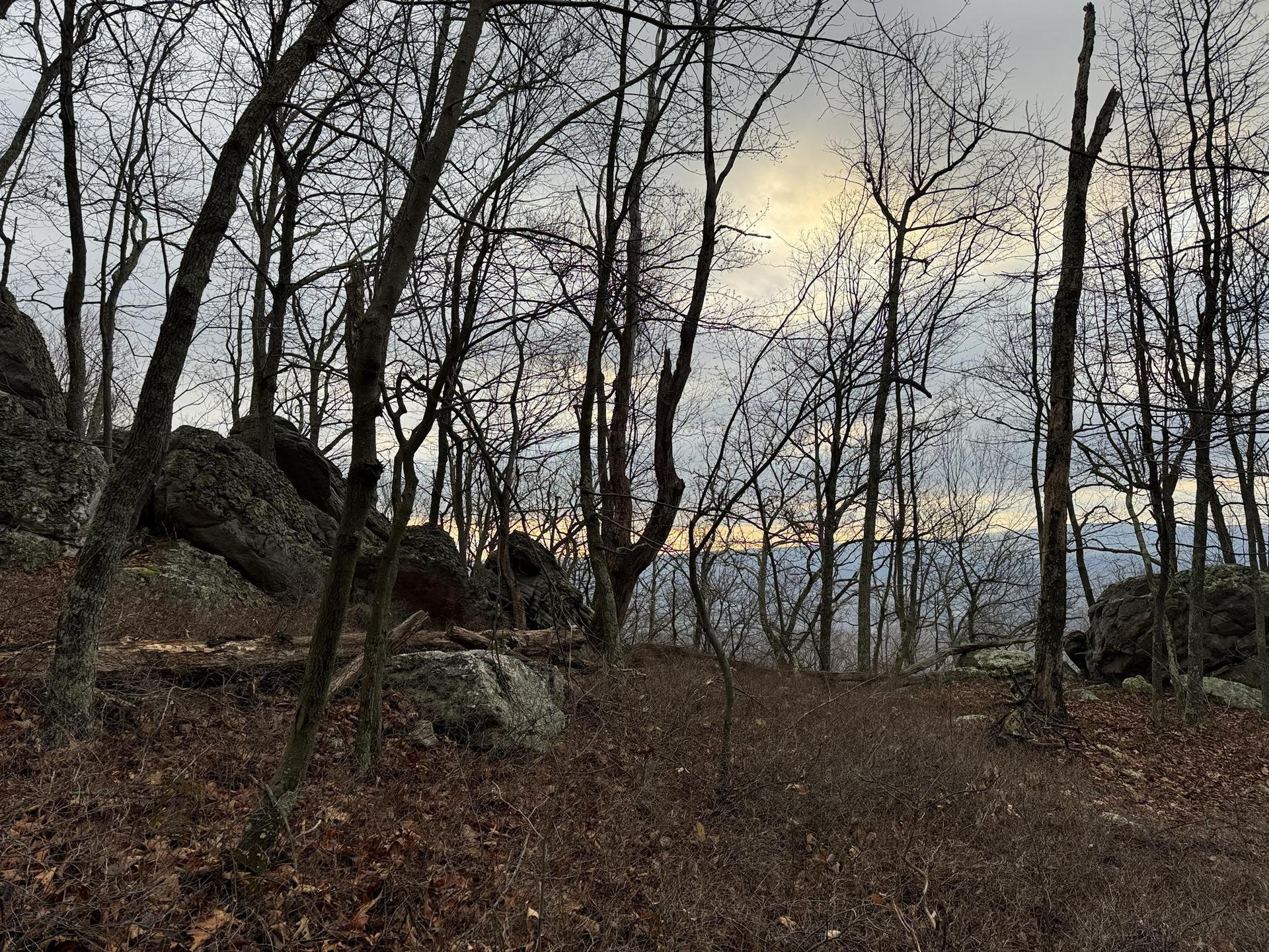 Bare winter trees and large rocks on a hillside under a cloudy sky.