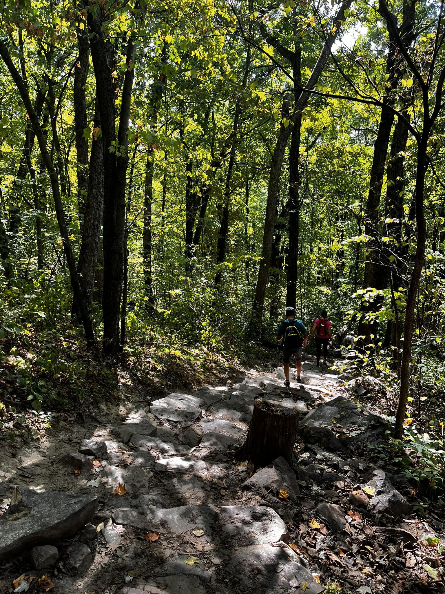 Two hikers on a rocky, sun-dappled forest path surrounded by trees.