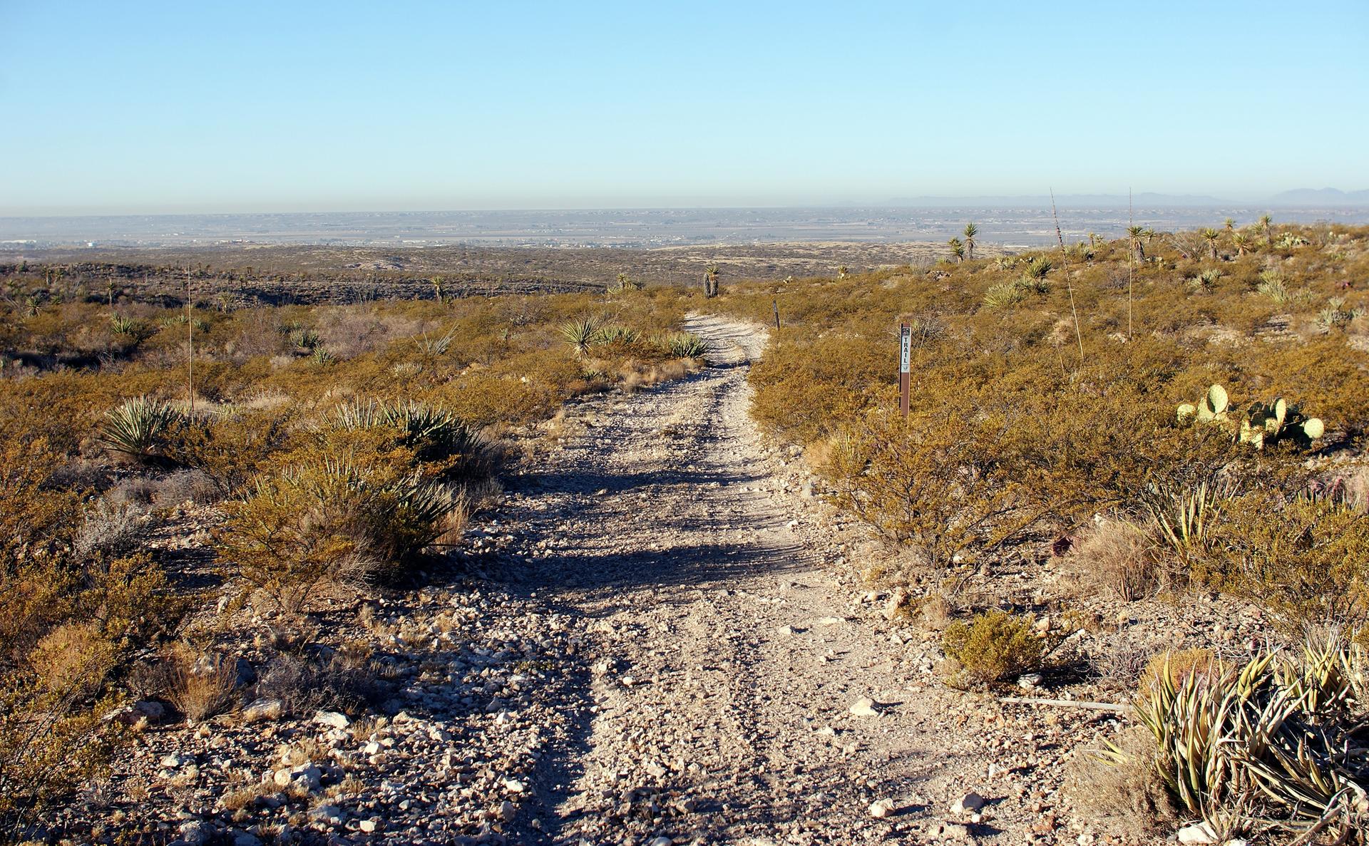 A dirt road winds through a sunny, arid desert landscape.