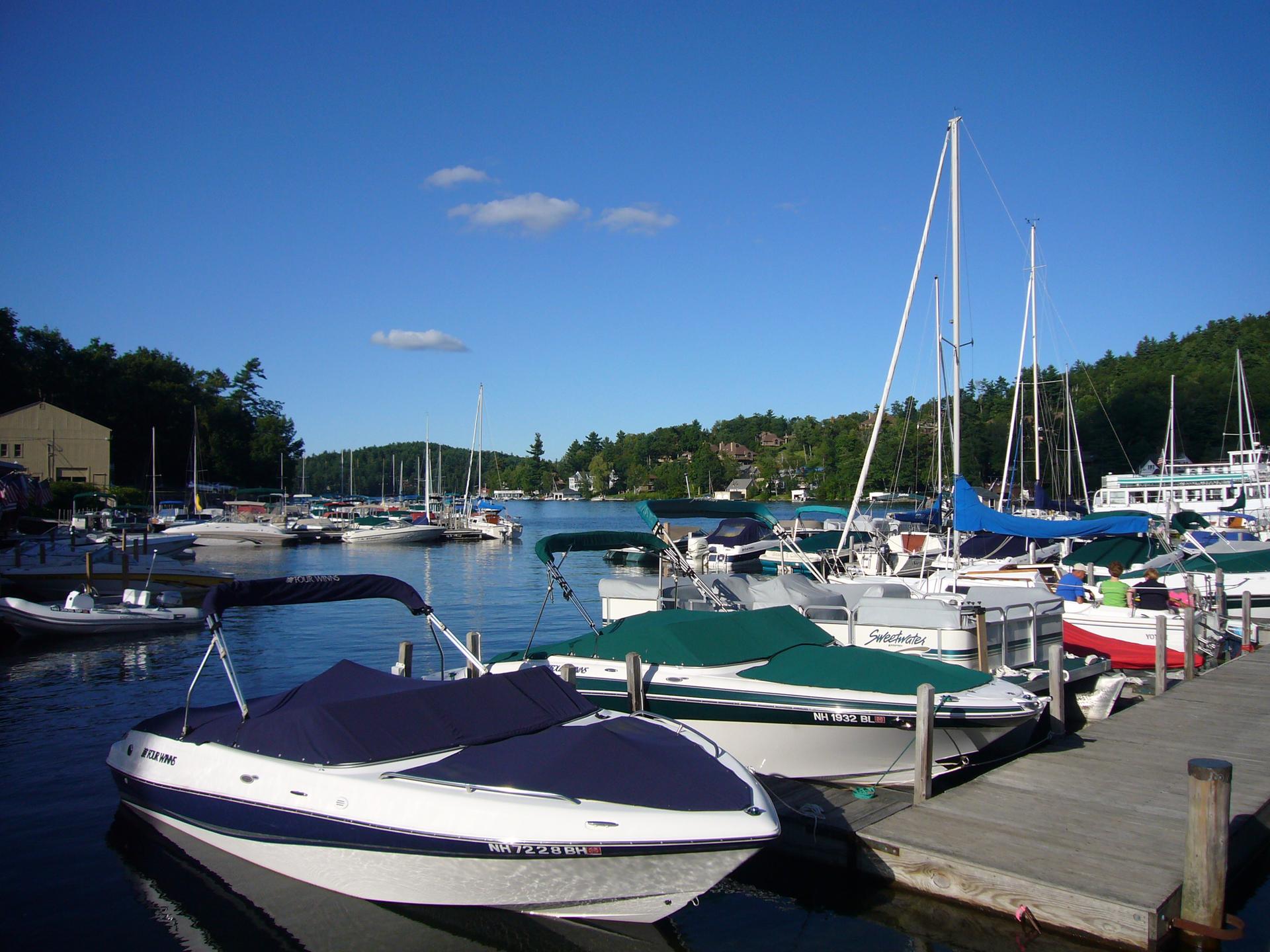 Numerous boats docked in a sunny marina with forested hills.