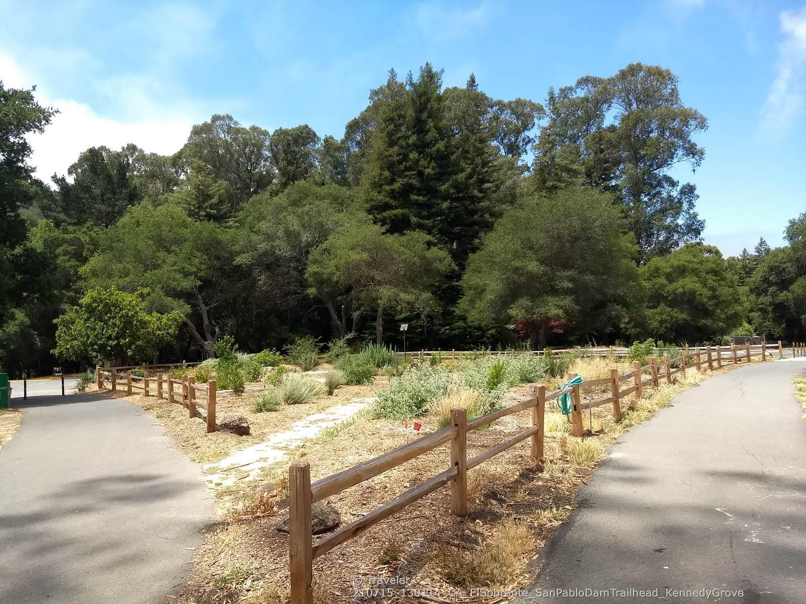 Paved paths diverge around a fenced garden area with lush green trees.
