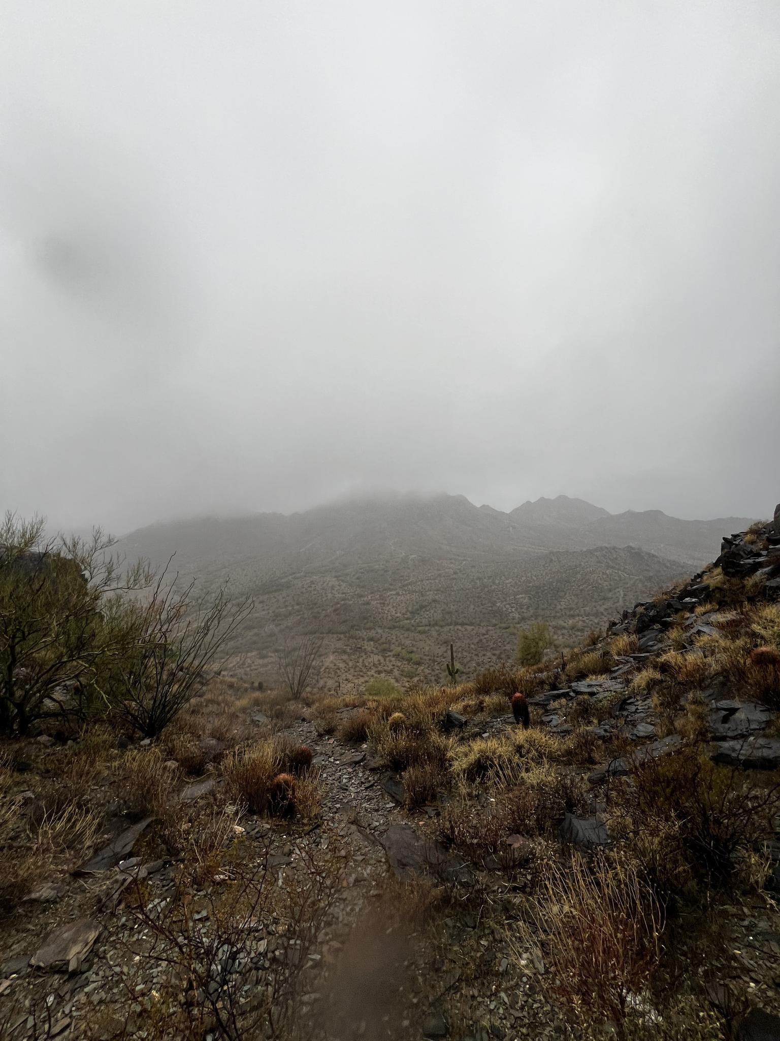 Foggy mountain landscape with a rocky trail and sparse vegetation under an overcast sky.