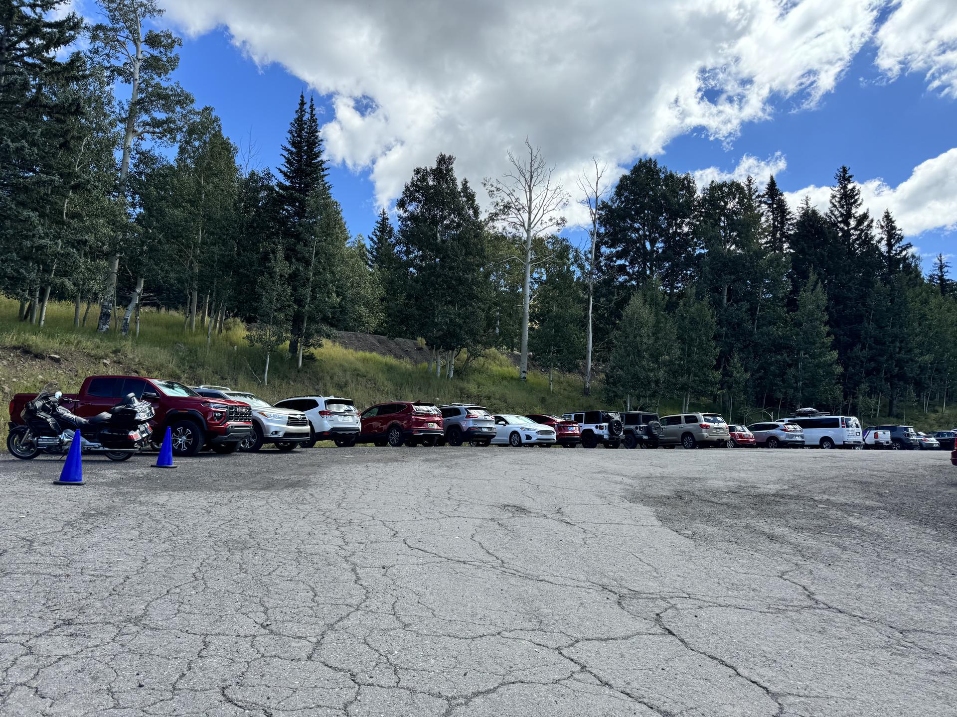 Crowded parking lot with many cars next to a dense green forest.