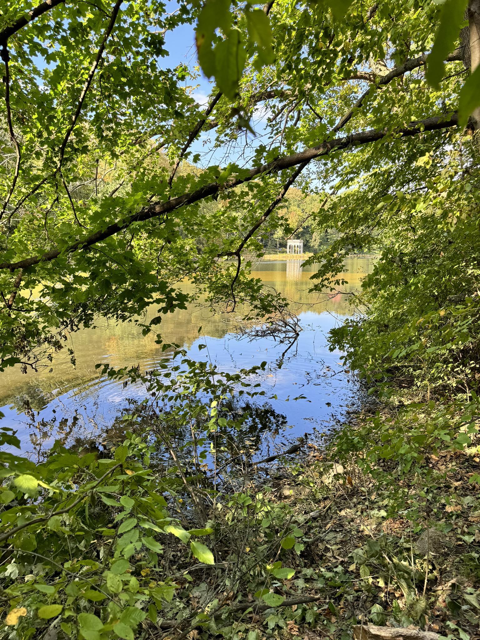 Calm lake seen through lush green tree branches on a bright day.